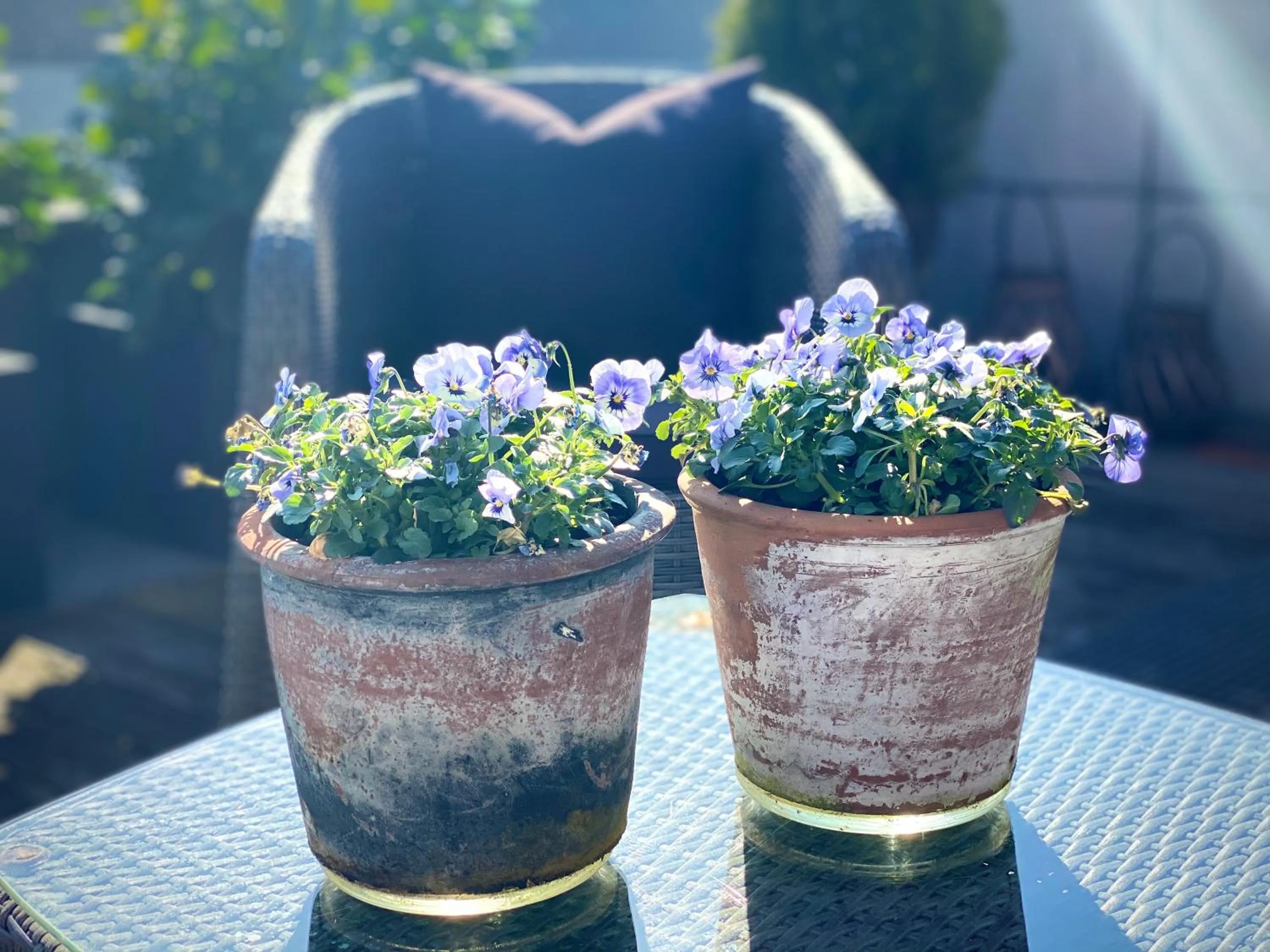 Balcony/Terrace in Teaterhotellet