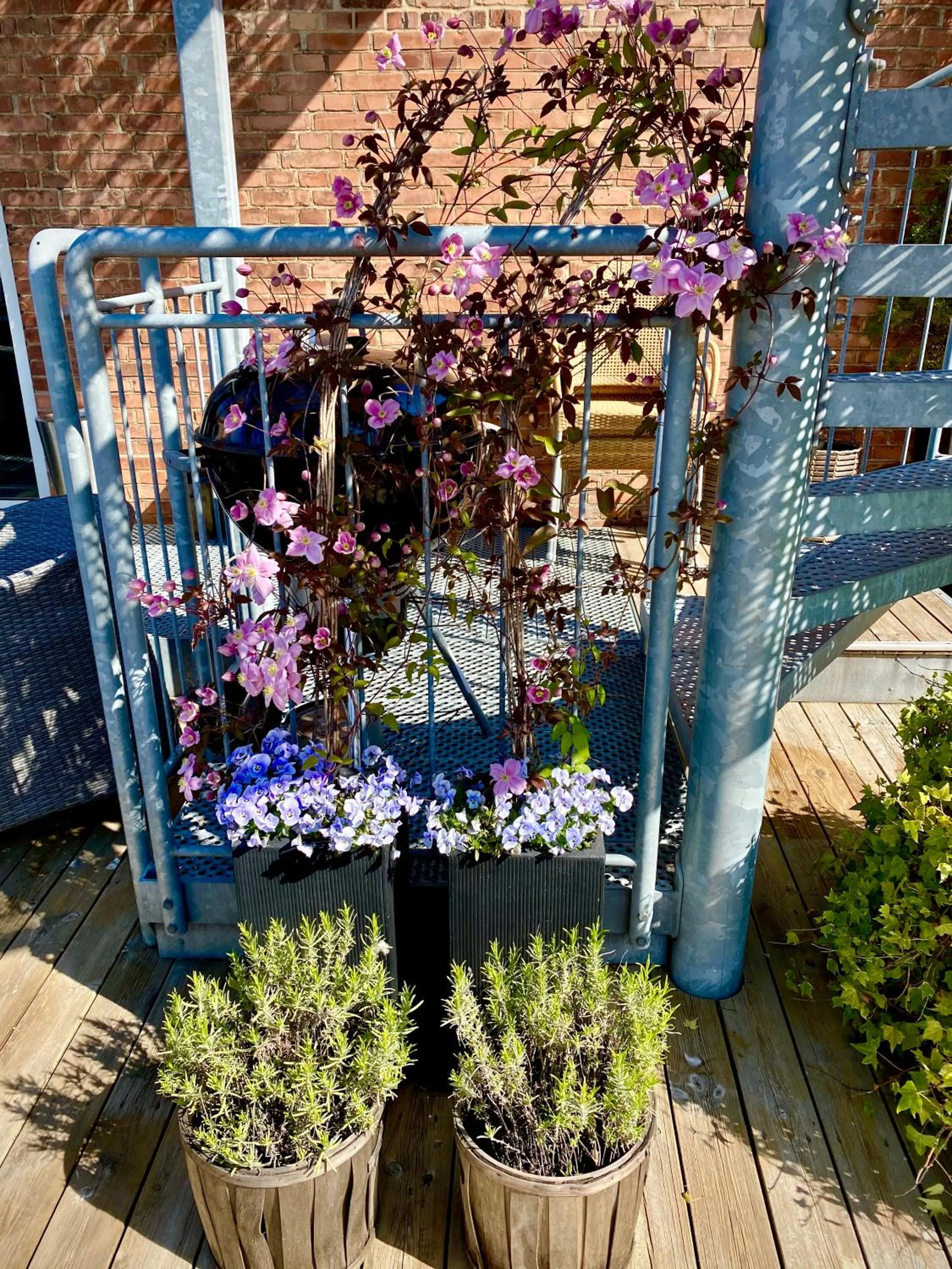 Garden in Teaterhotellet