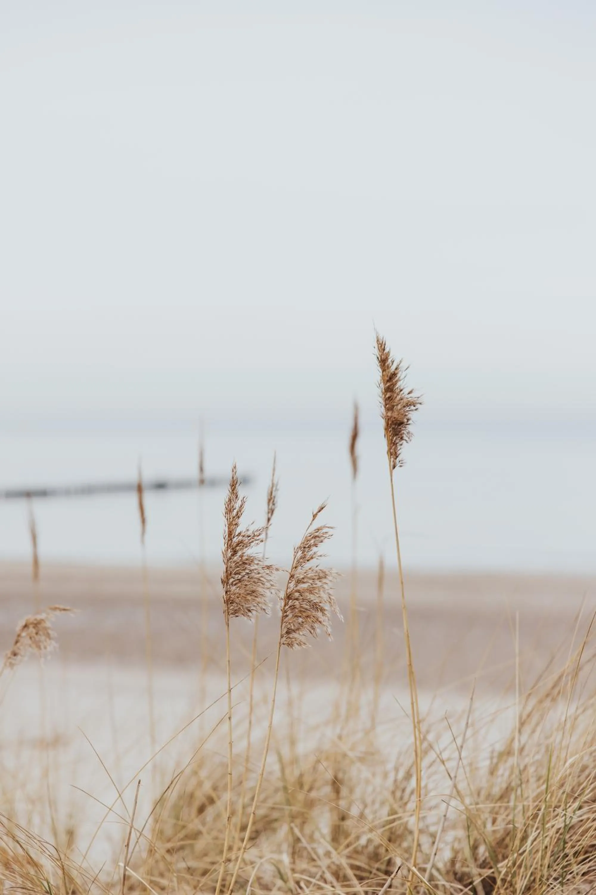 Beach in Parkhotel IV Jahreszeiten Kühlungsborn