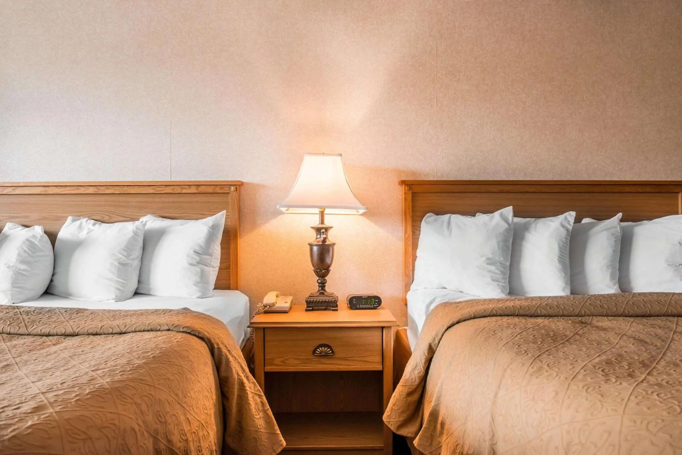 Photo of the whole room, Bed in Quality Inn Pittsburgh Airport