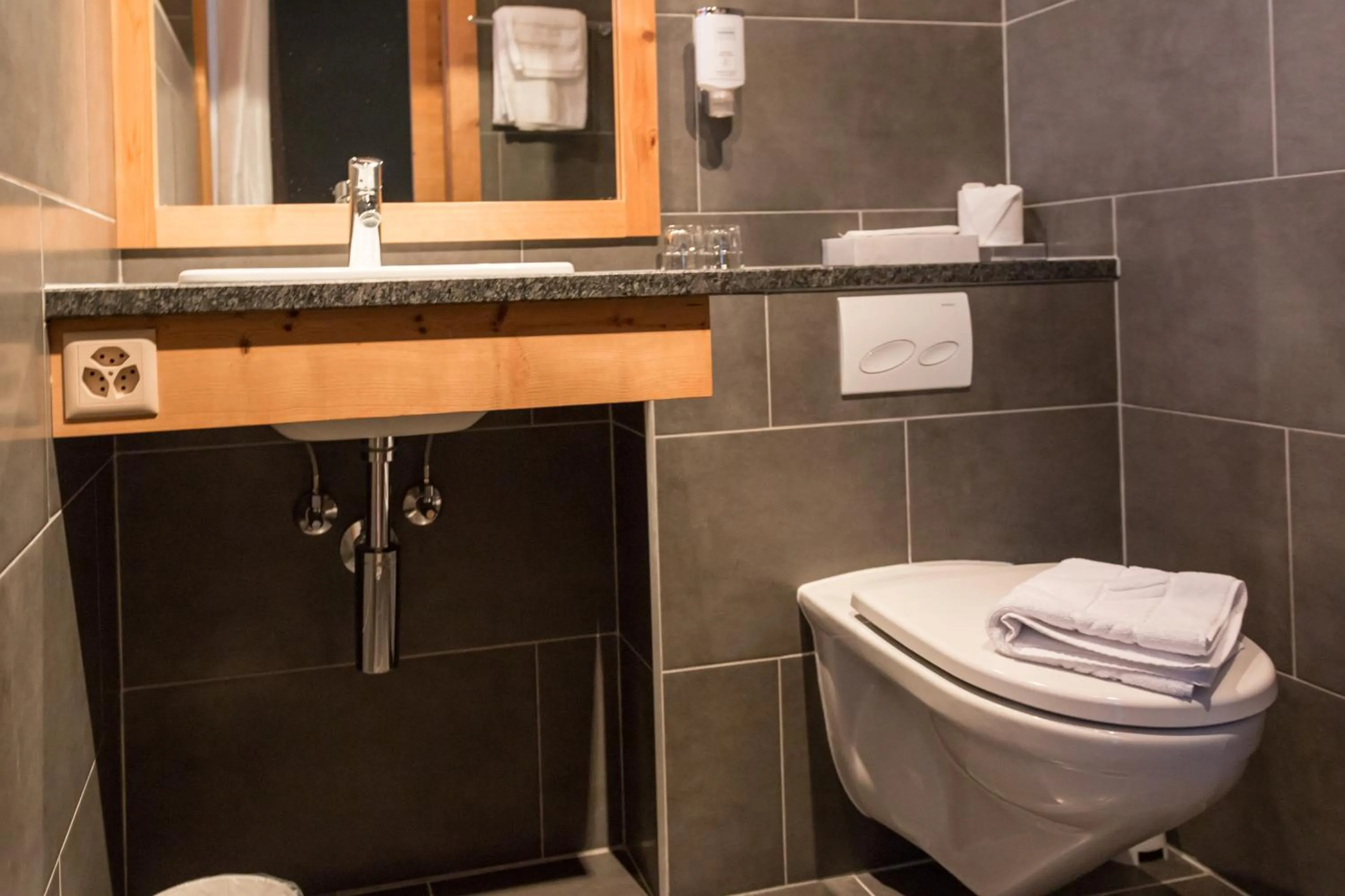 Toilet in Helvetia hotel