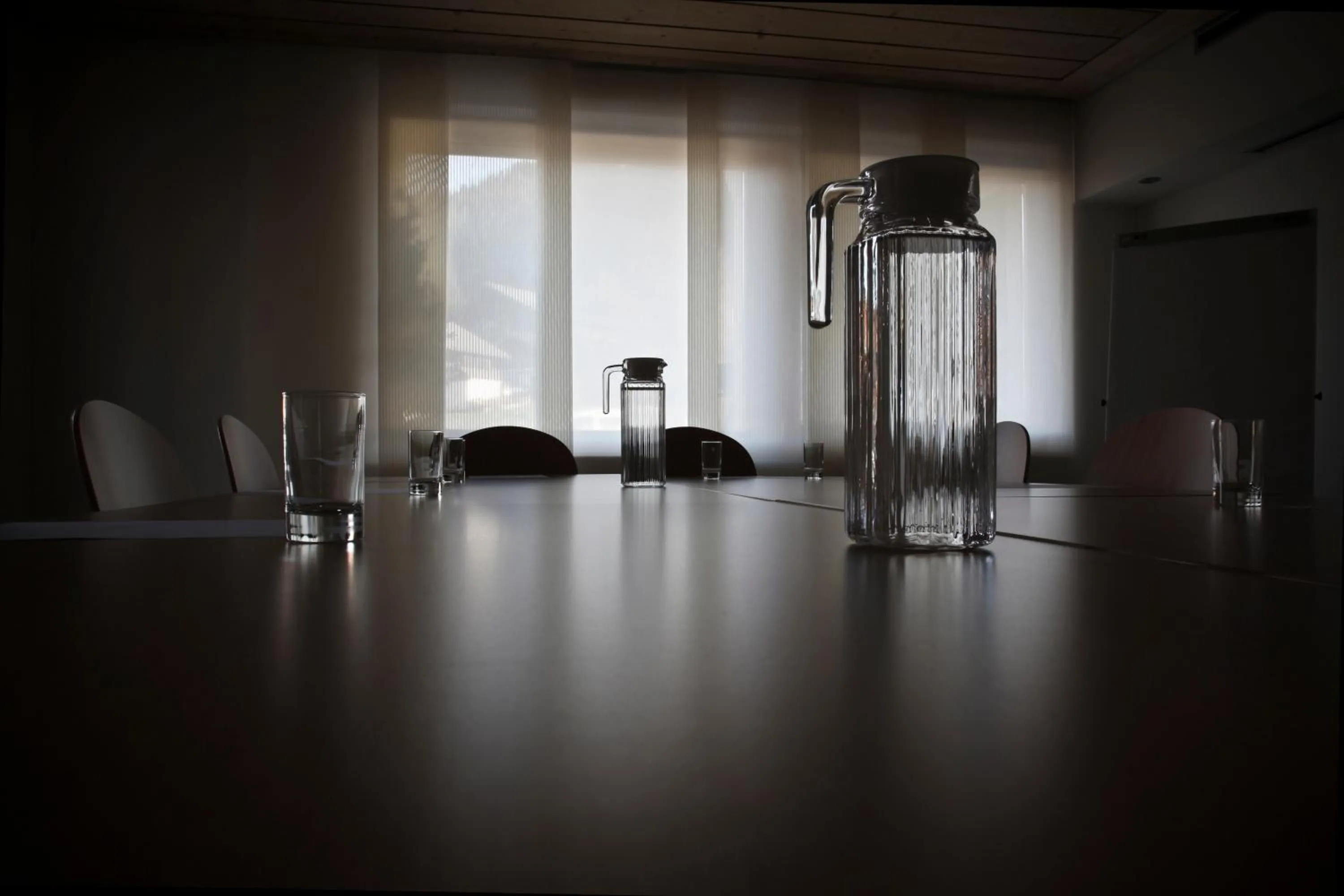 Business facilities in Helvetia hotel