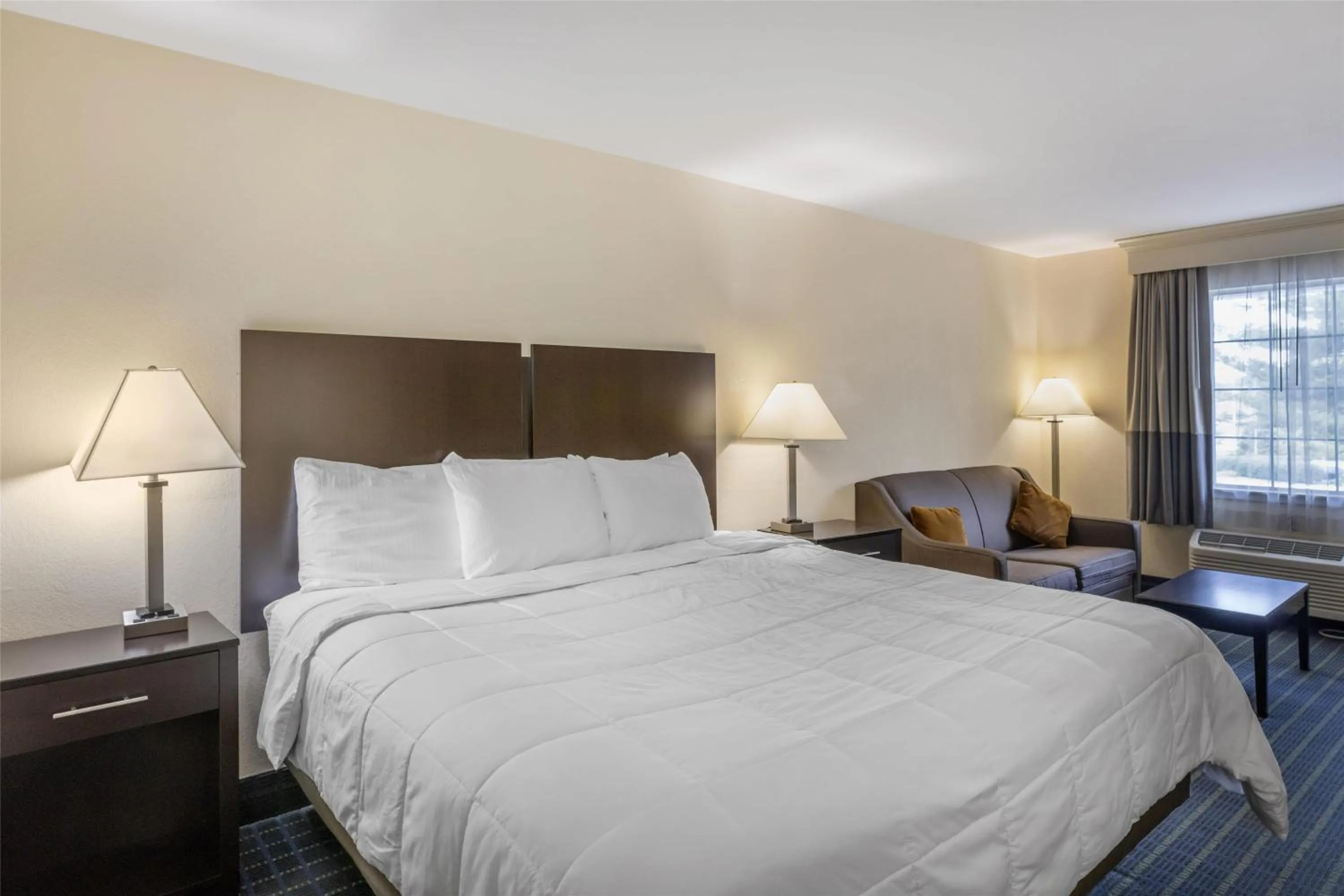 Bedroom, Bed in Best Western Parkside Inn