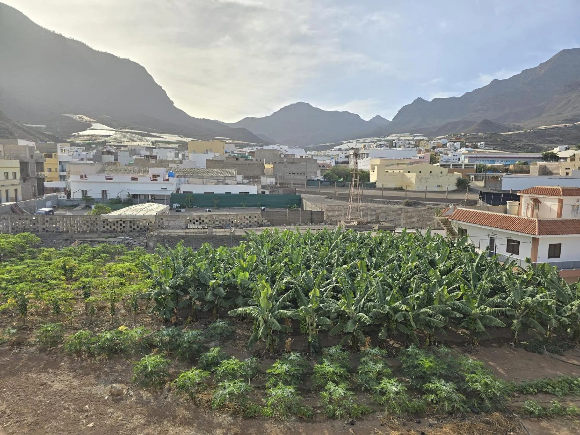 Garden in Hotel La Aldea Suites