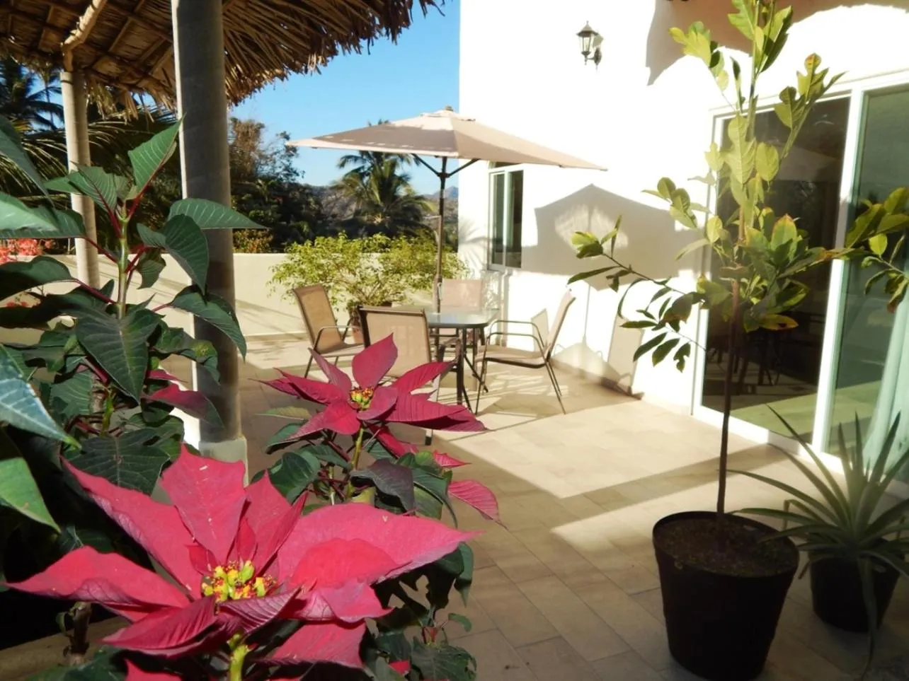Balcony/Terrace in Villa Los Corales