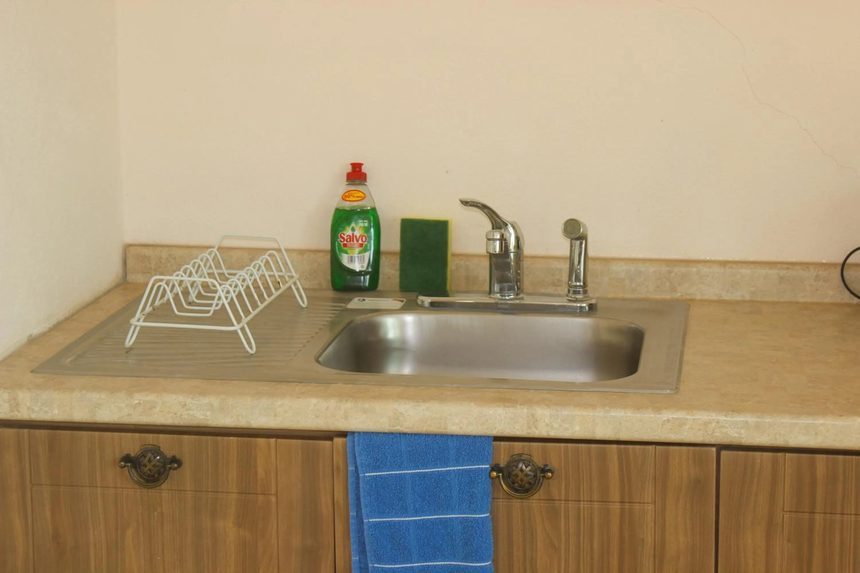 Kitchen or kitchenette in Villa Los Corales