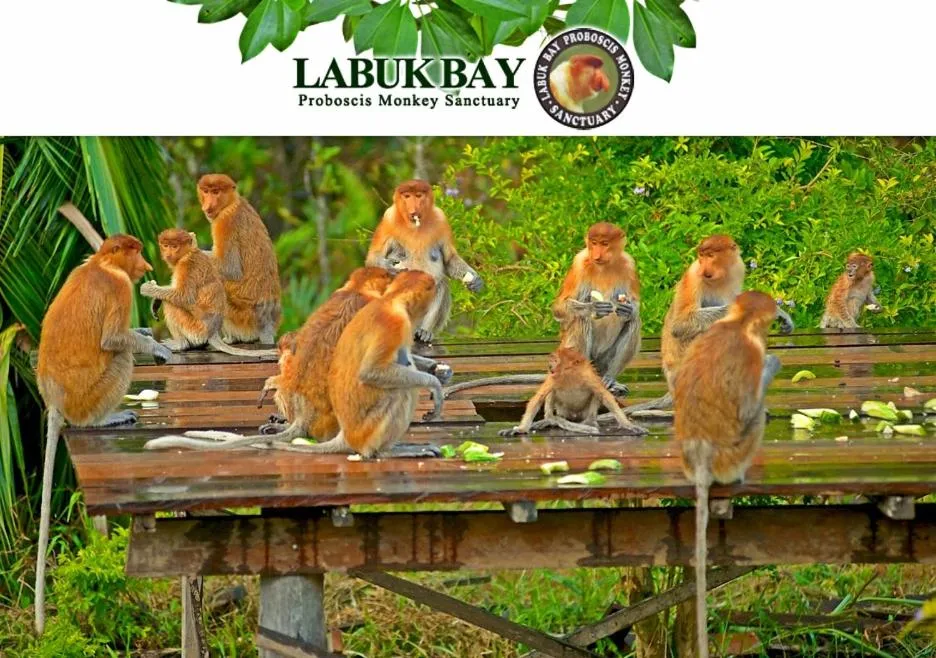 Nearby landmark in Hello Kitty Signature Suite