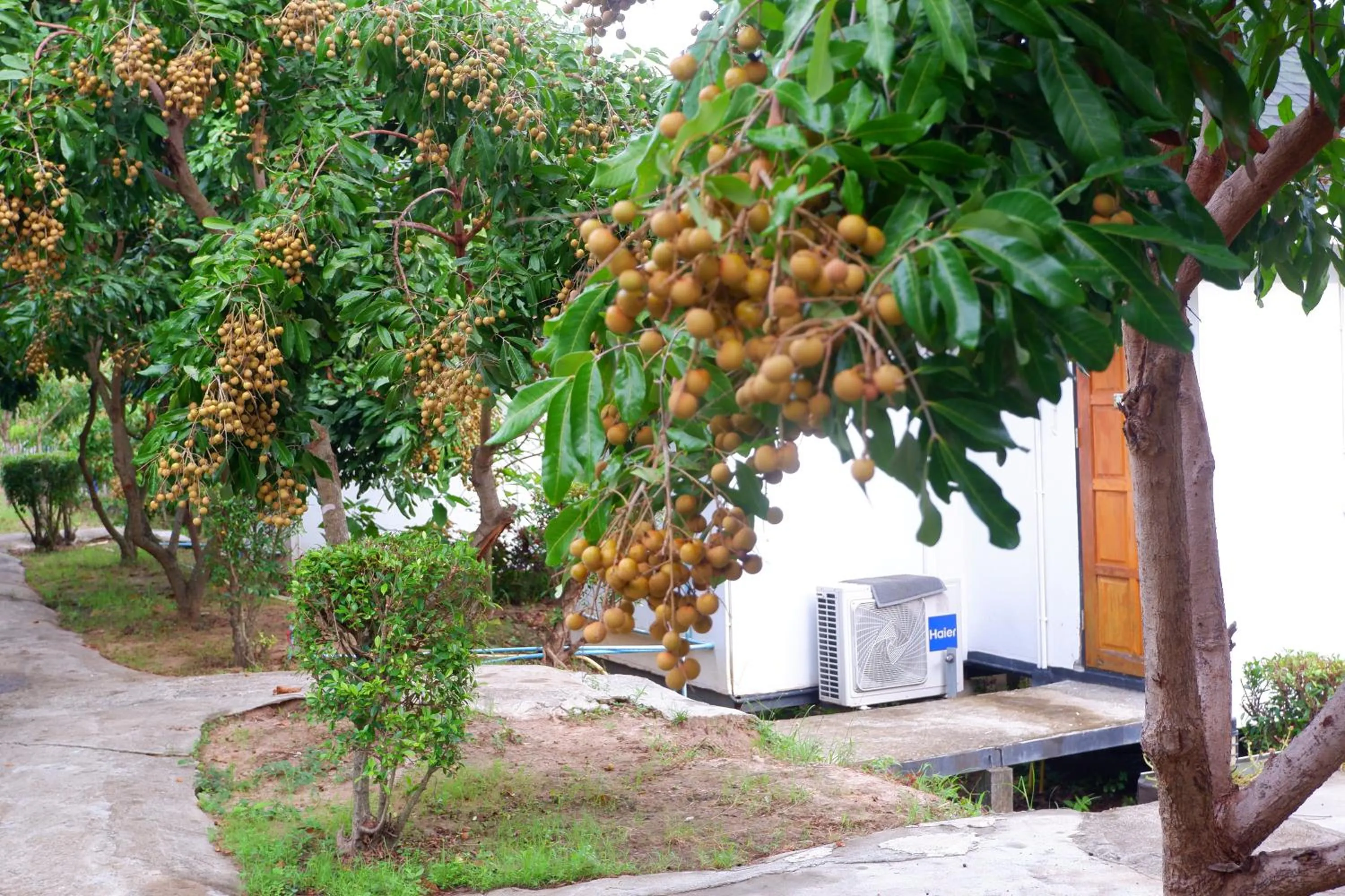 Property building in Nok Chan Mee Na