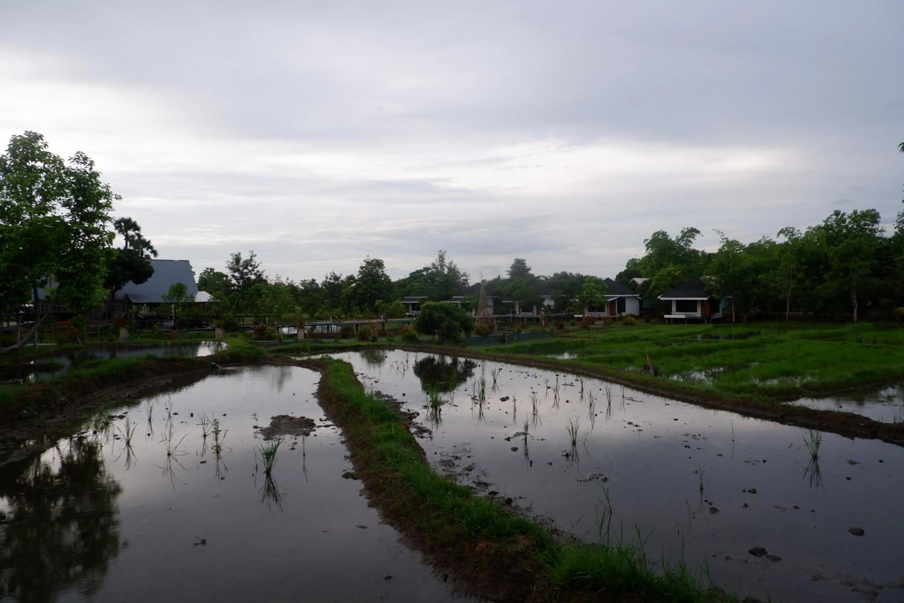 Inner courtyard view in Nok Chan Mee Na