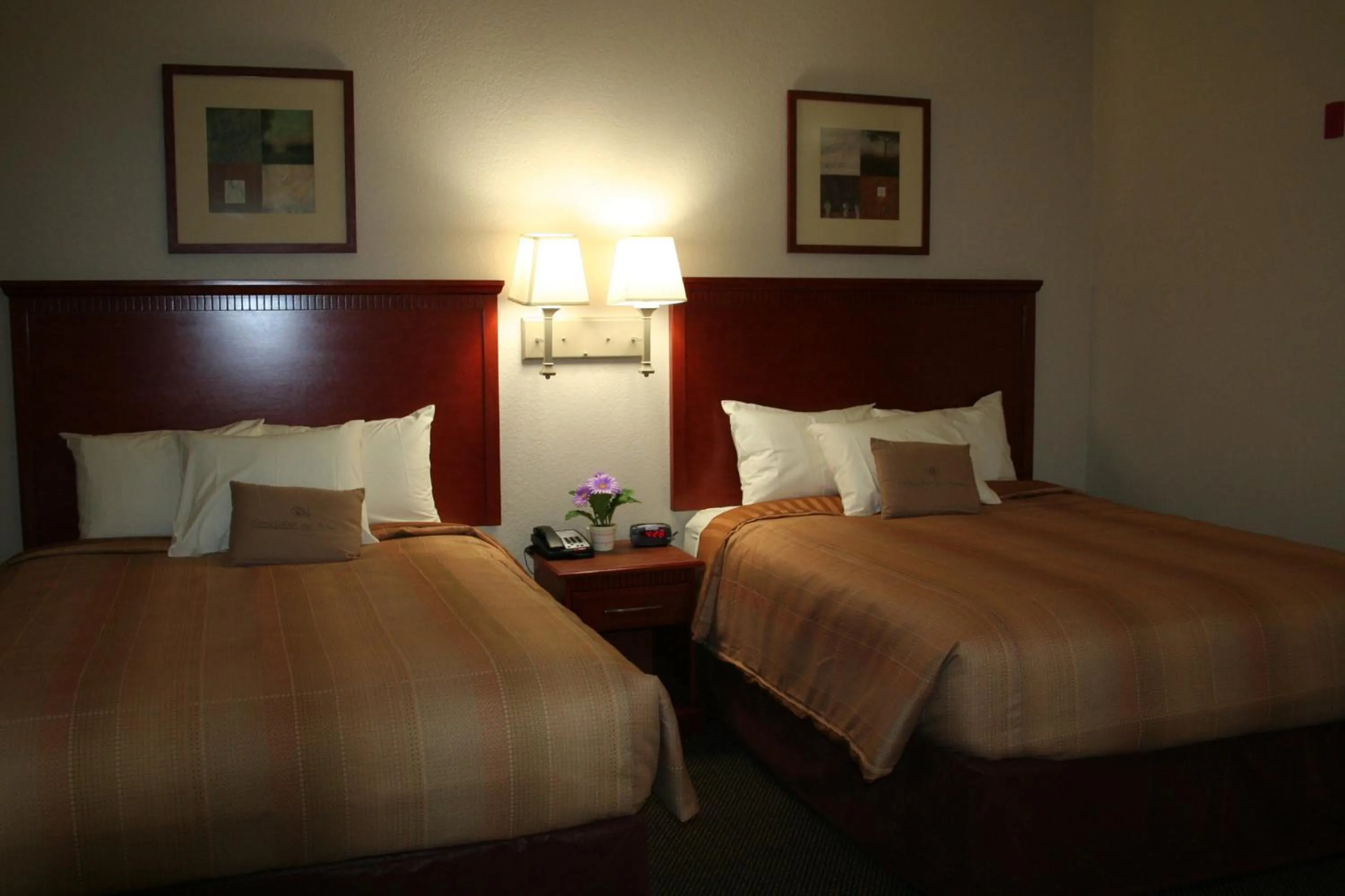 Photo of the whole room, Bed in Candlewood Suites Avondale-New Orleans by IHG