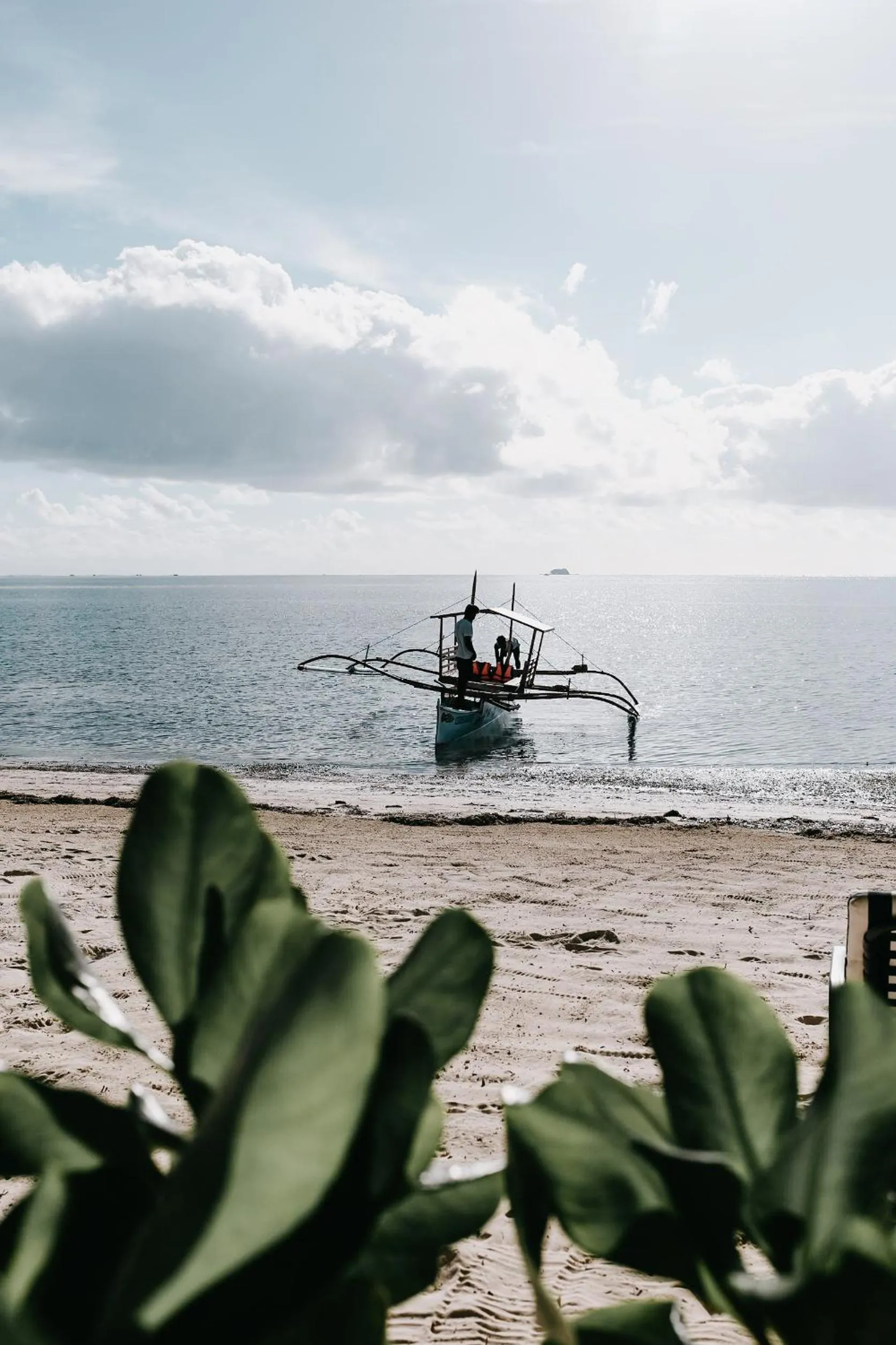Natural landscape in Soultribe Beach Retreat