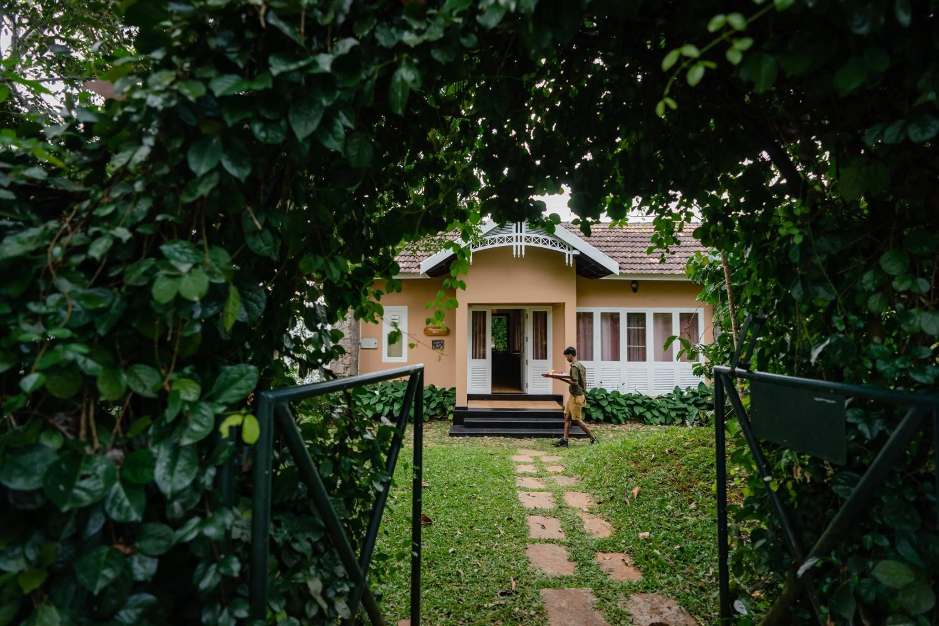 After the Rains - Rainforest Lodge