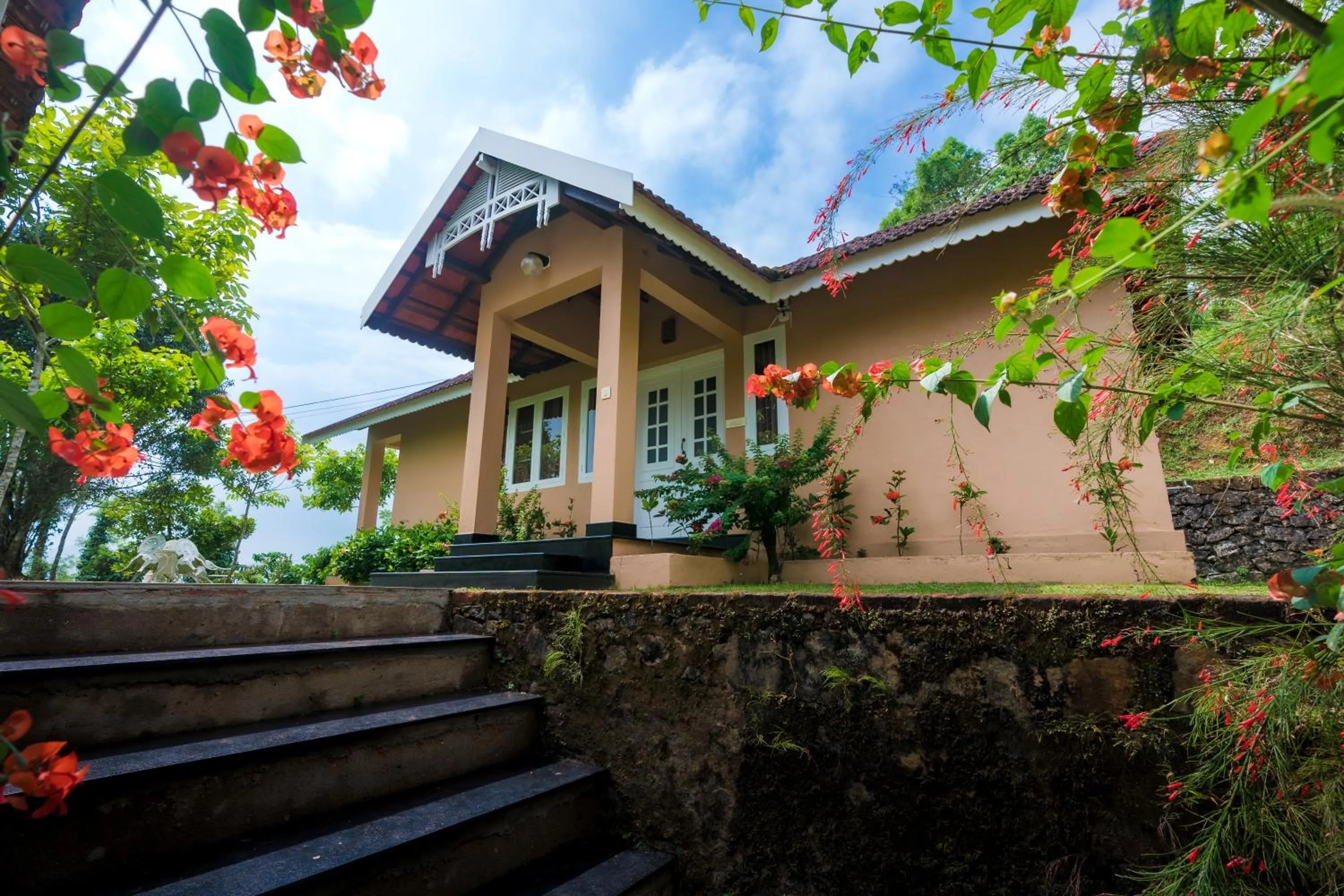 After the Rains - Rainforest Lodge
