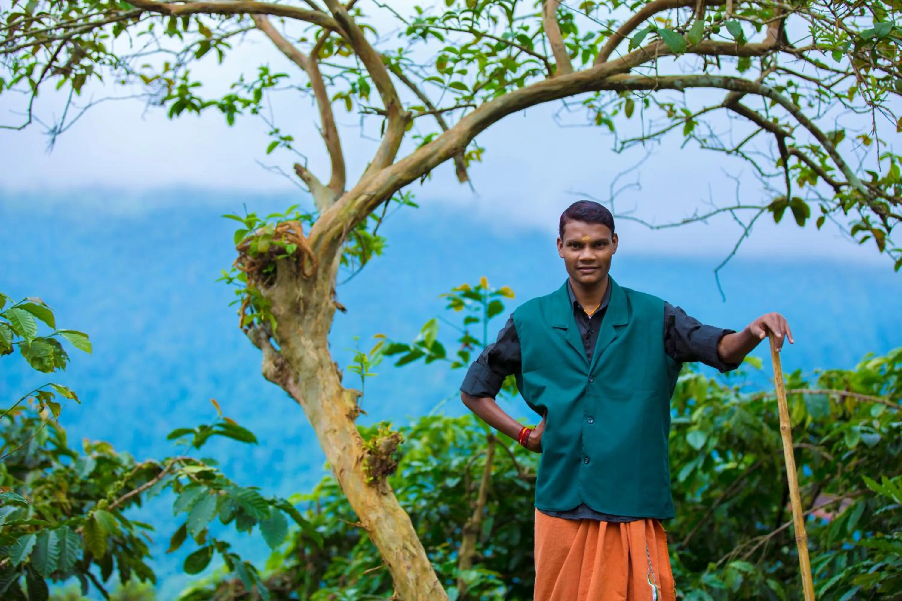 Property building in After the Rains - Rainforest Lodge