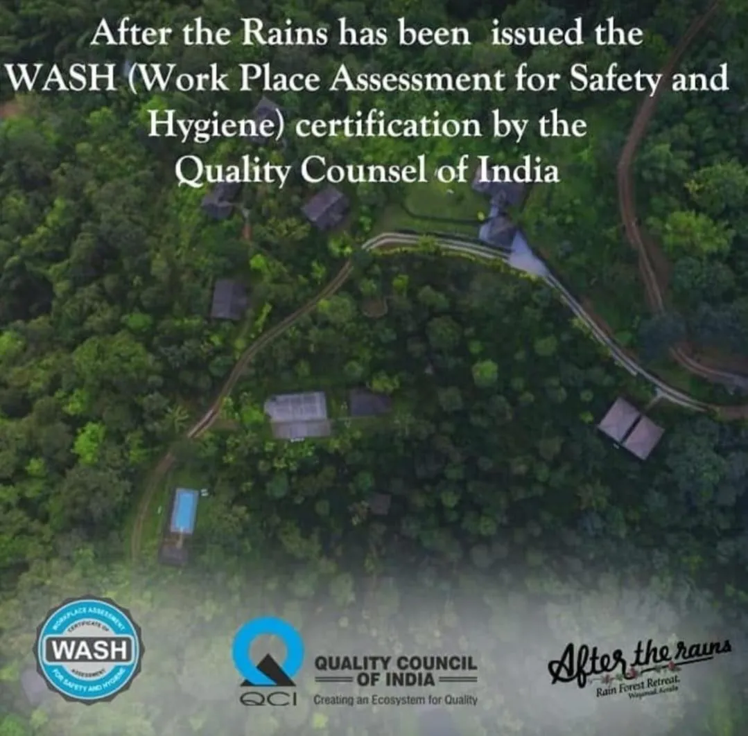 After the Rains - Rainforest Lodge