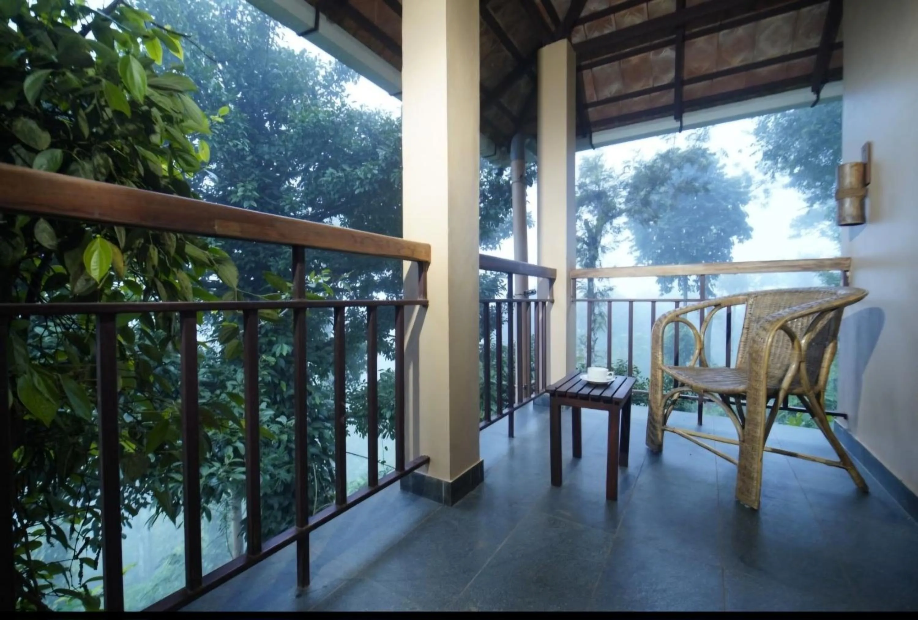 After the Rains - Rainforest Lodge
