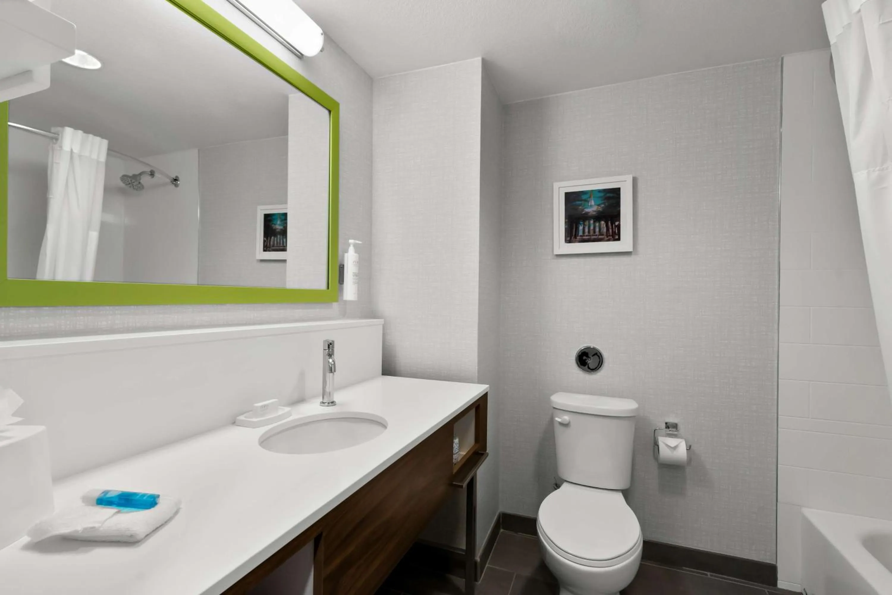 Bathroom in Hampton Inn & Suites Phoenix/Gilbert