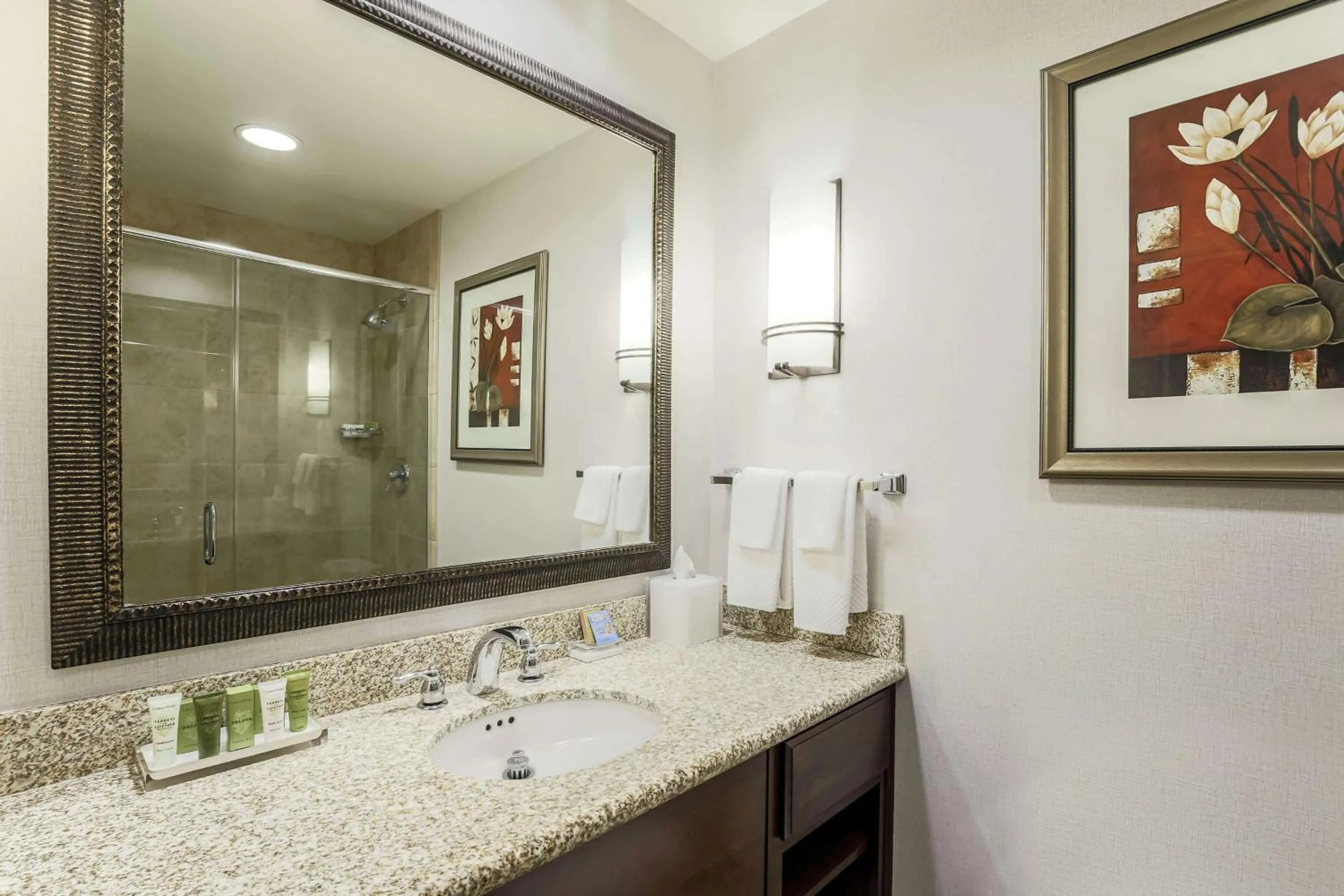 Bathroom in Hilton Phoenix Chandler