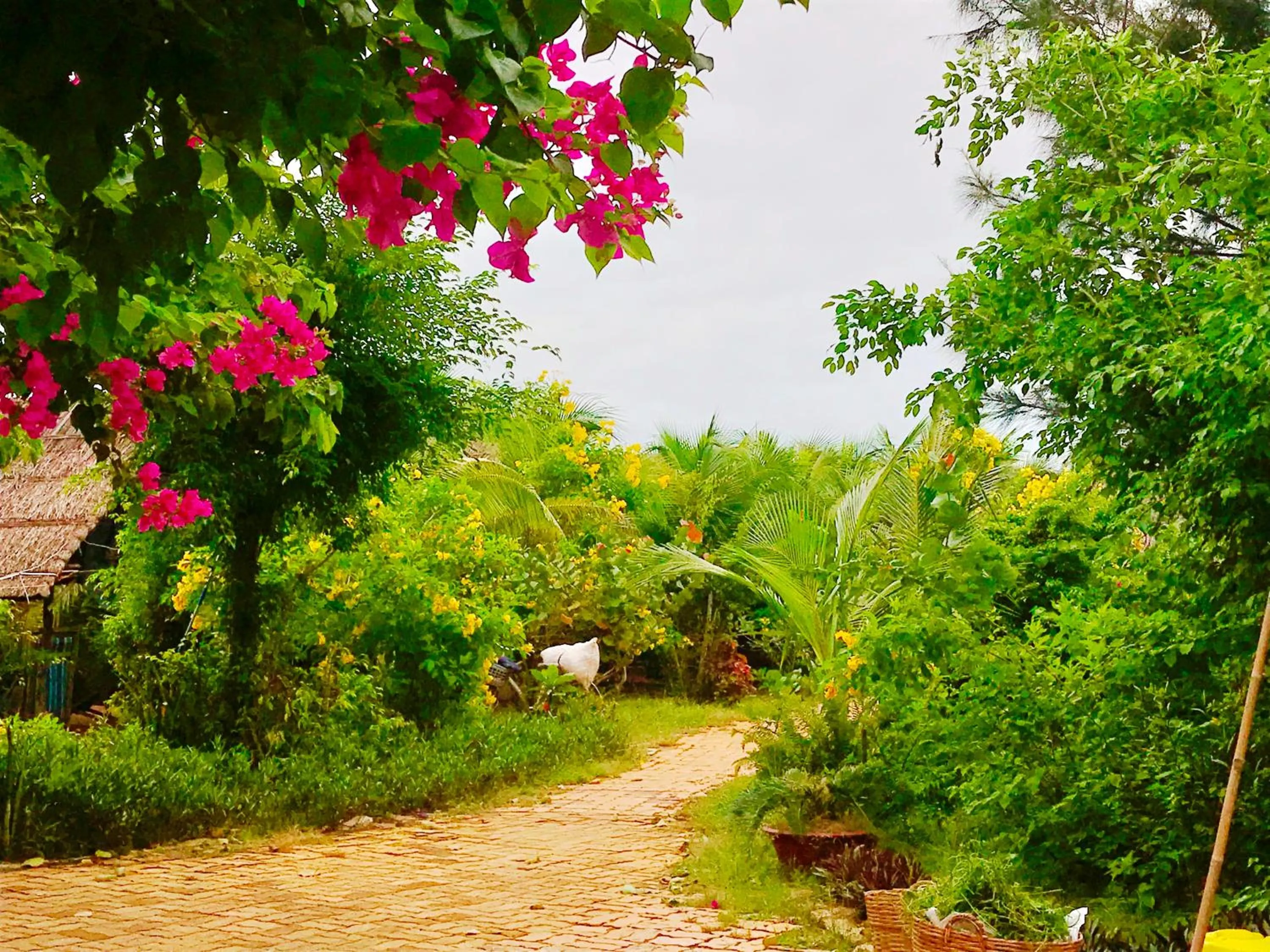 Property building in Oceanward Hotel & Resort