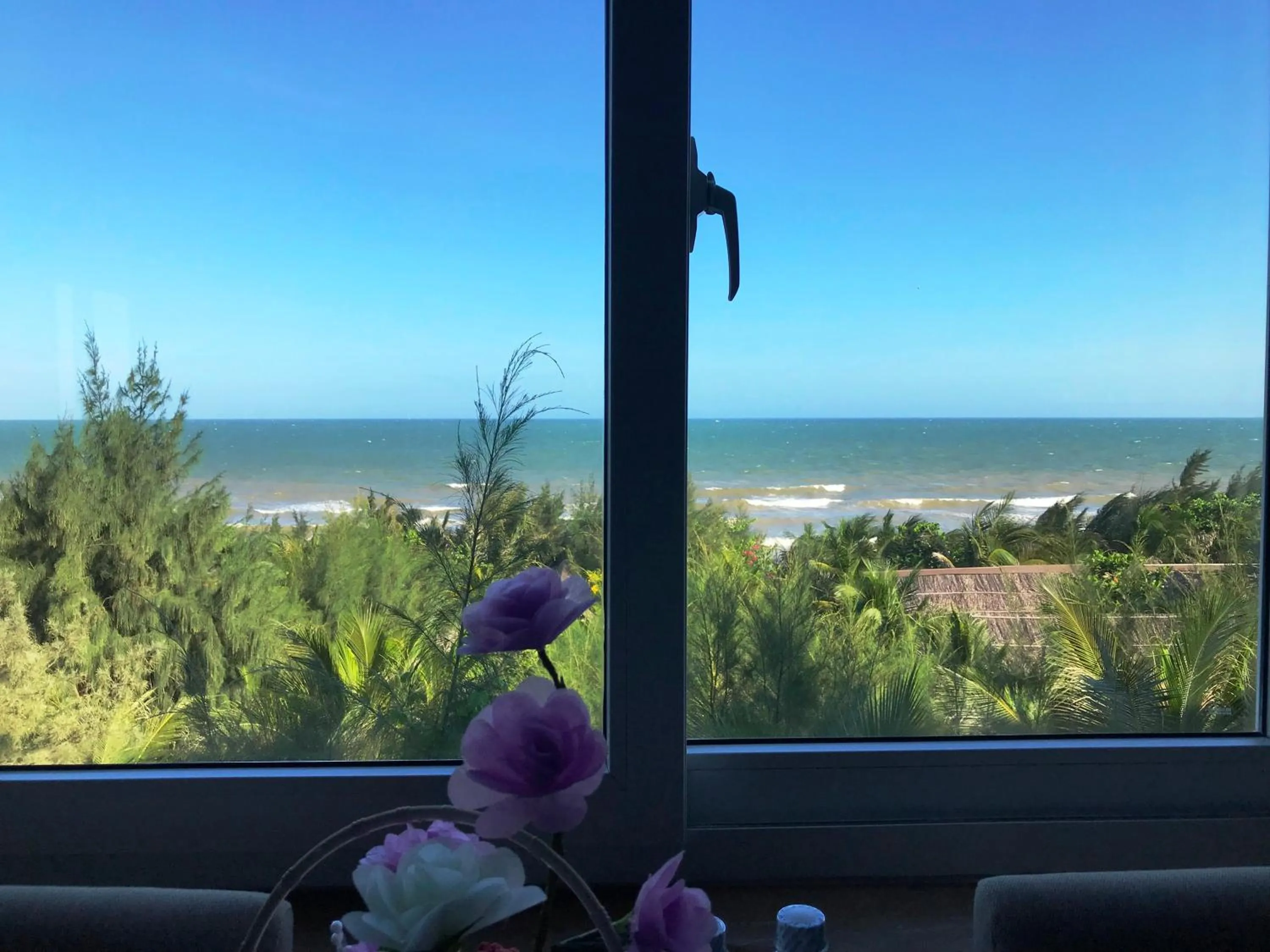 Oceanward Hotel & Resort