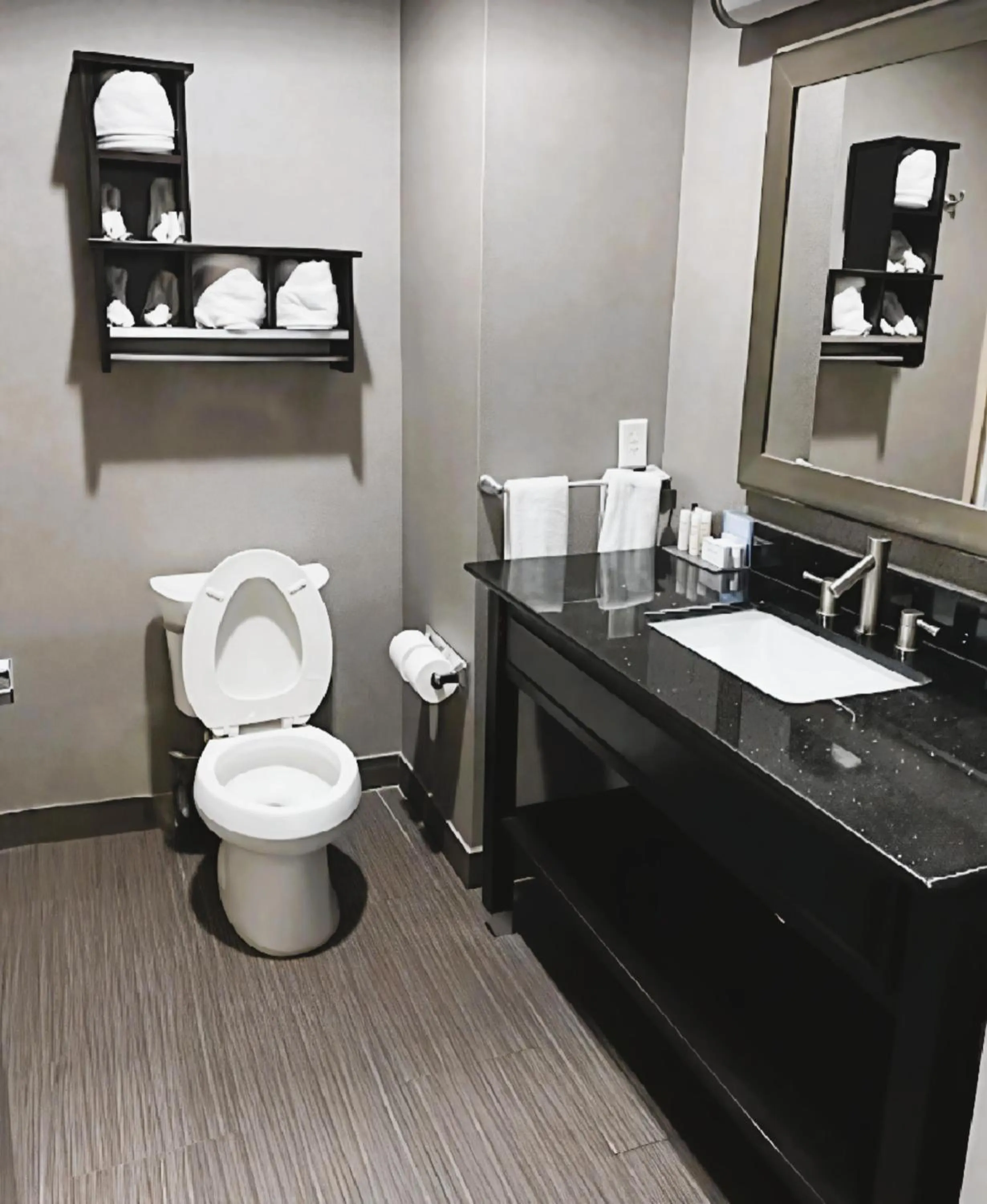 Bathroom in Hampton Inn and Suites Marksville