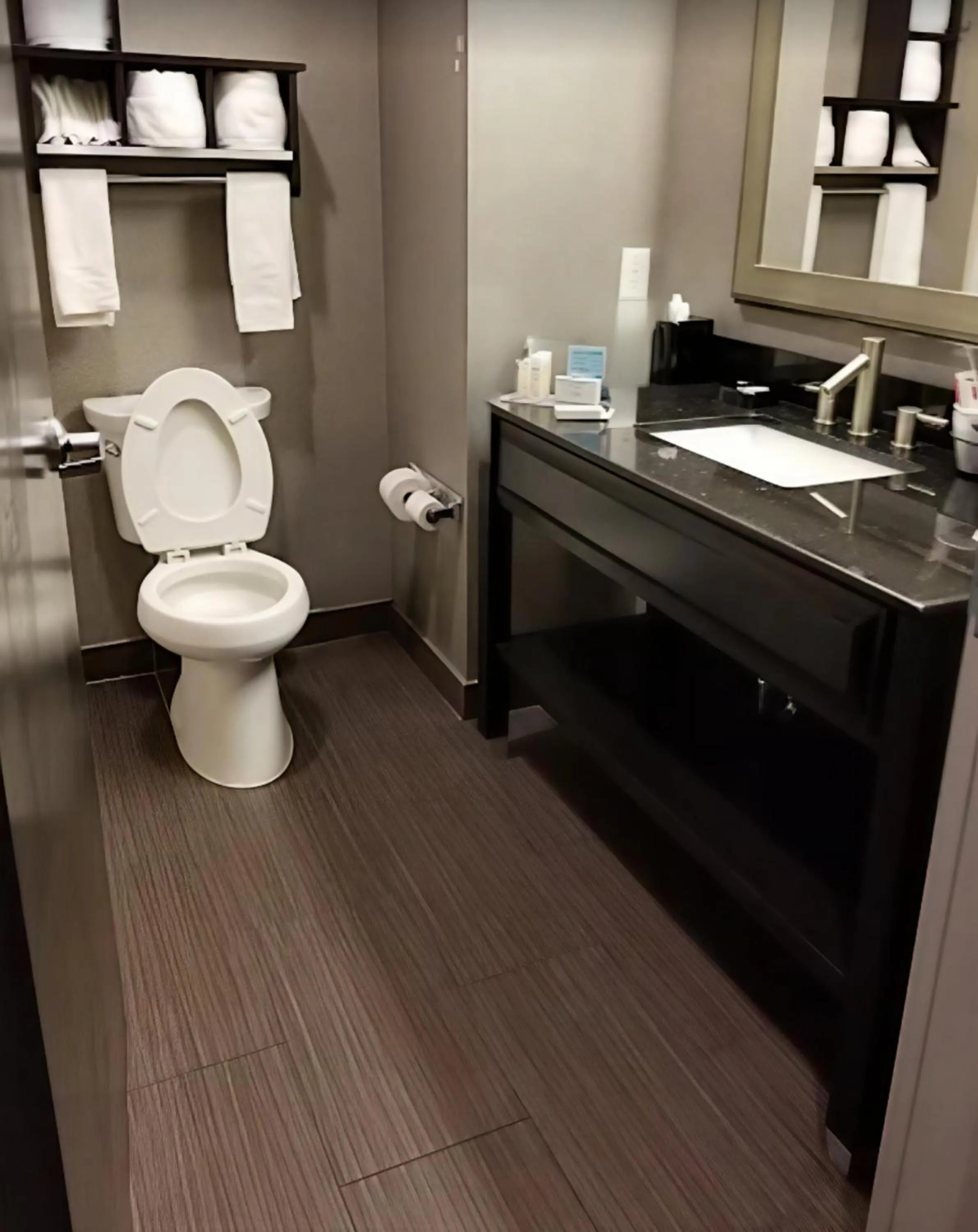 Bathroom in Hampton Inn and Suites Marksville