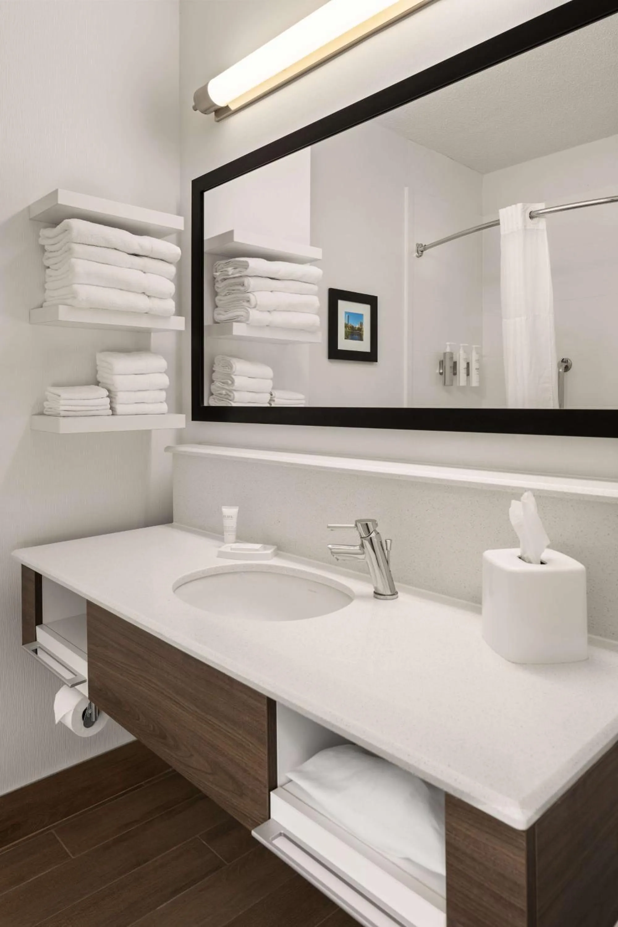 Bathroom in Hampton Inn Minneapolis Northwest Maple Grove