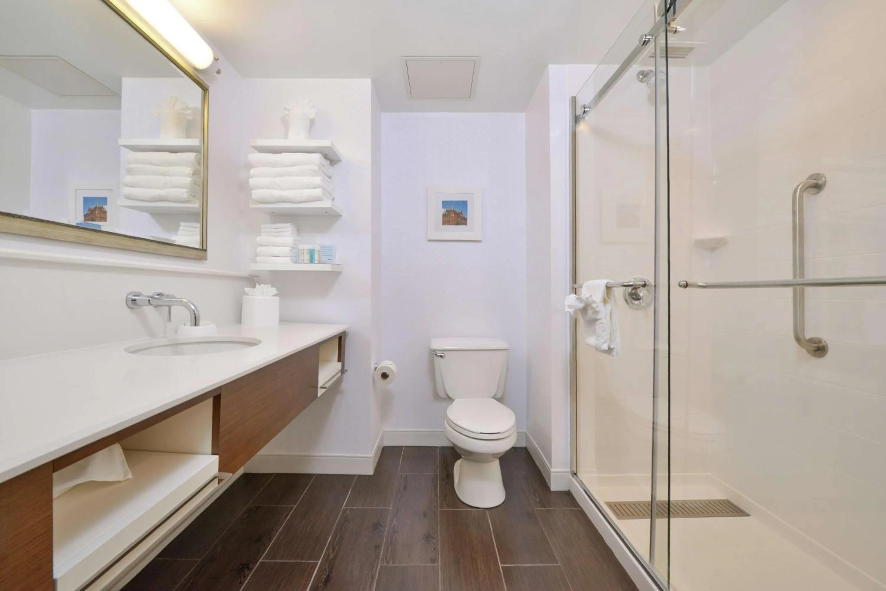 Bathroom in Hampton Inn Martinsburg