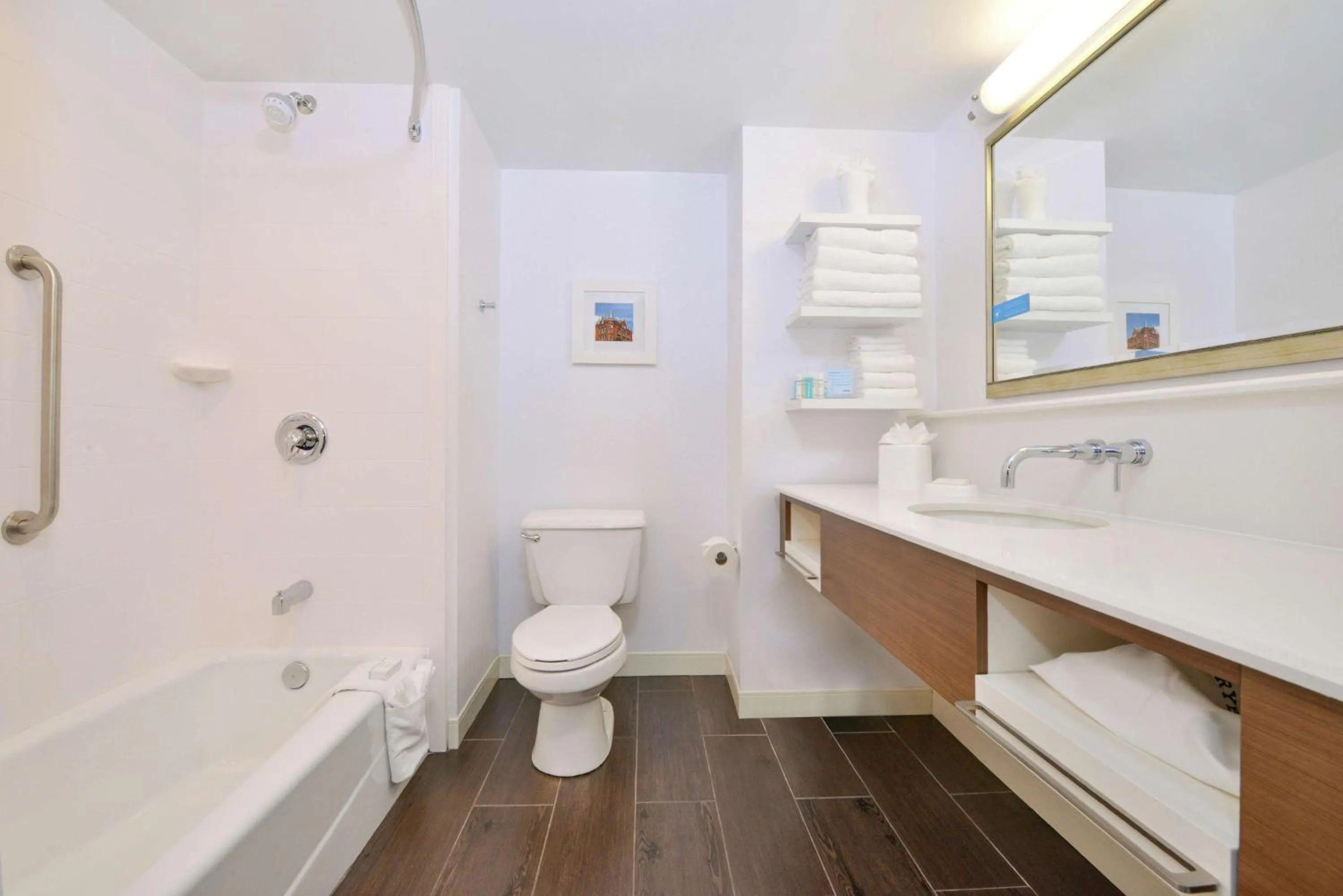 Bathroom in Hampton Inn Martinsburg