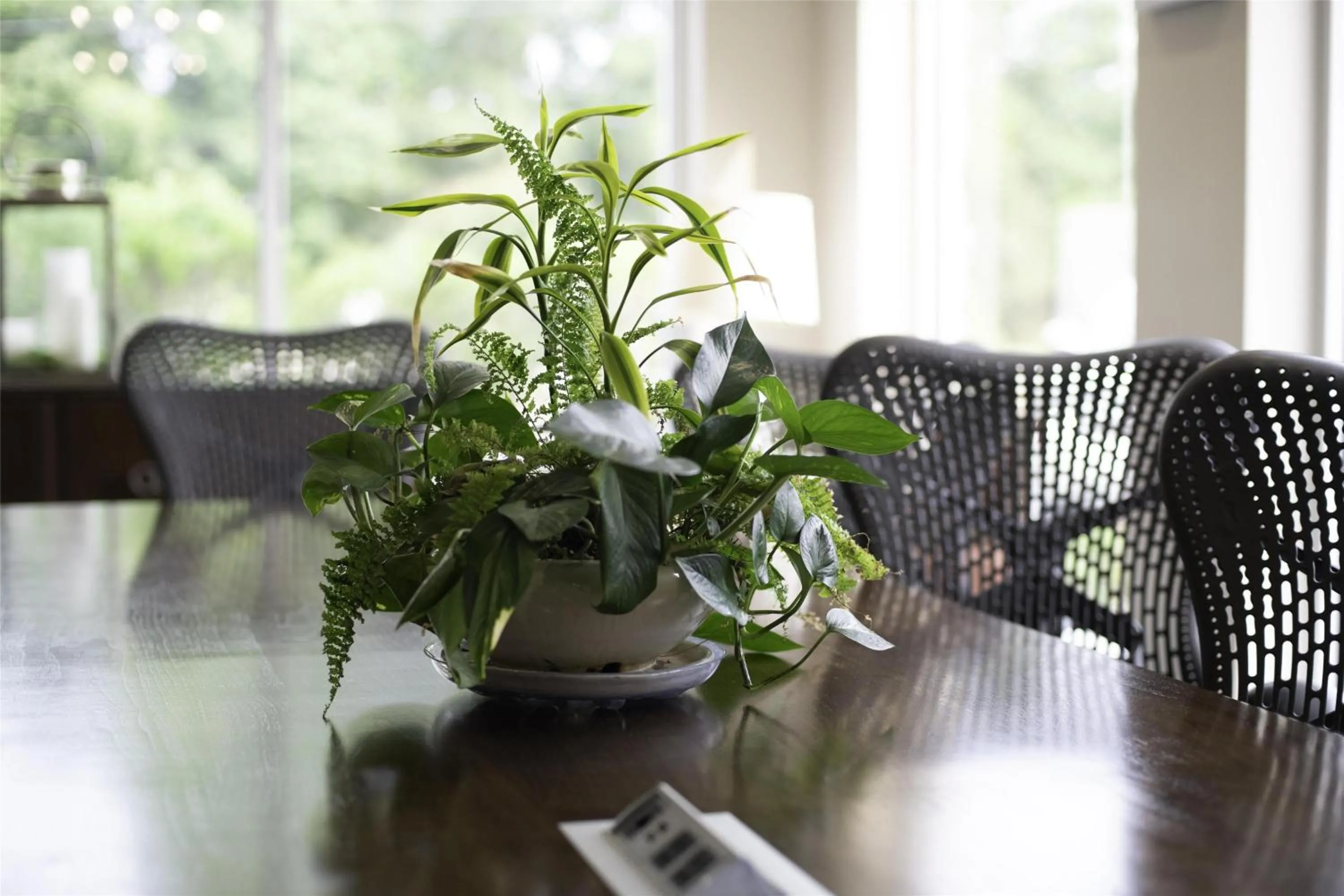 Lobby or reception in Hilton Garden Inn Fayetteville/Fort Bragg