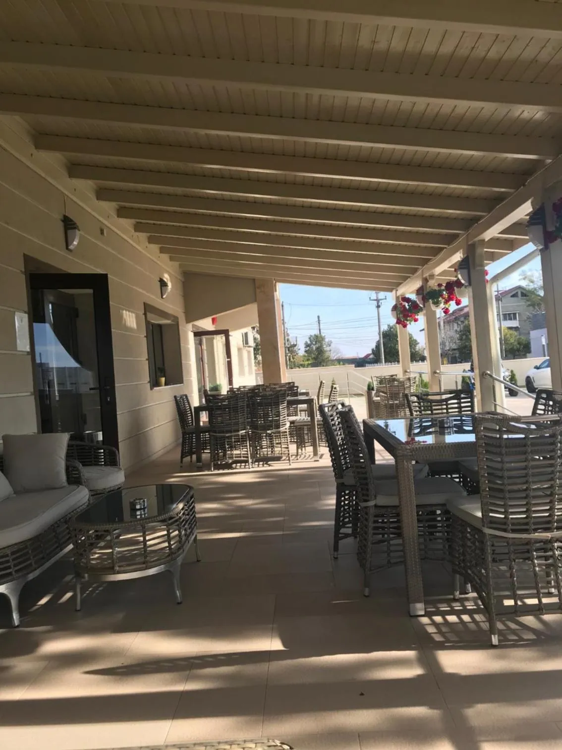 Garden in Hotel Terra Iasi