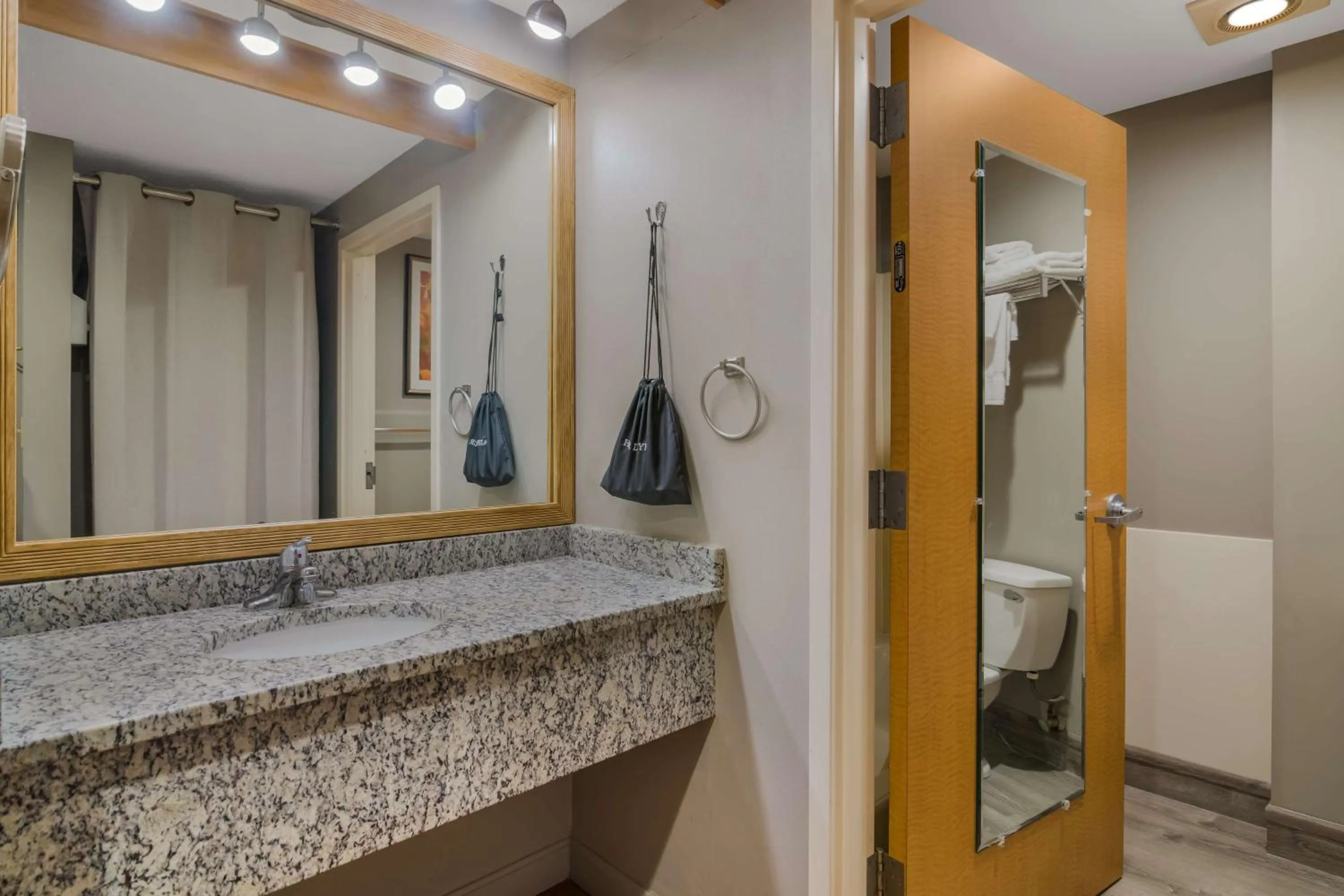 Bathroom in Best Western PLUS Executive Court Inn & Conference Center