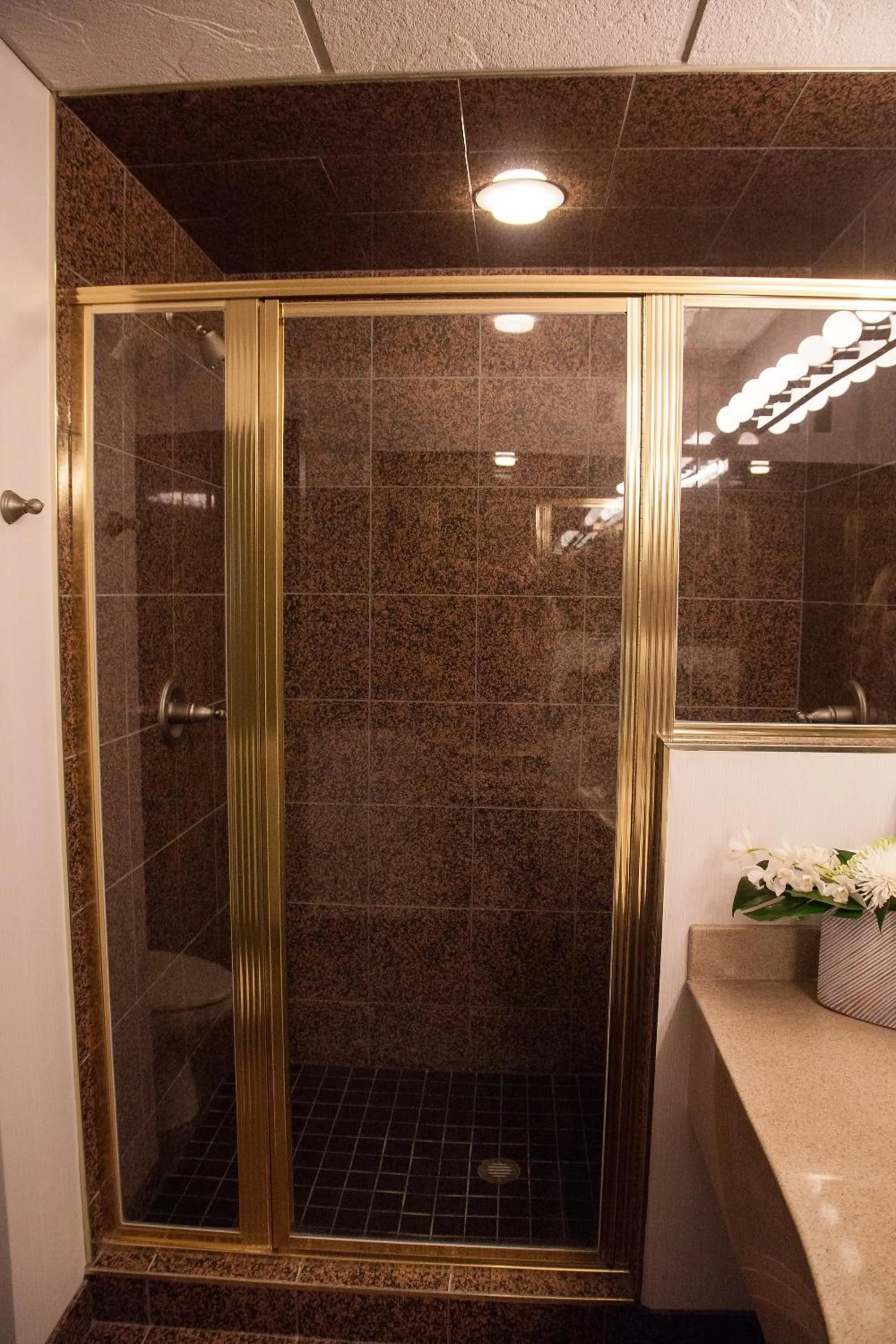 Shower in Medicine Hat Lodge, Trademark Collection by Wyndham