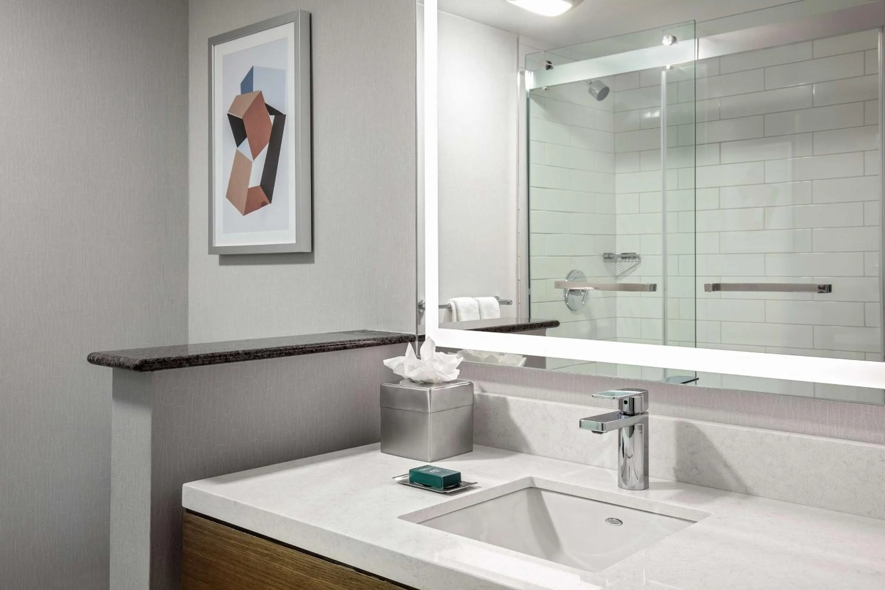 Bathroom in DoubleTree by Hilton Boston/Westborough