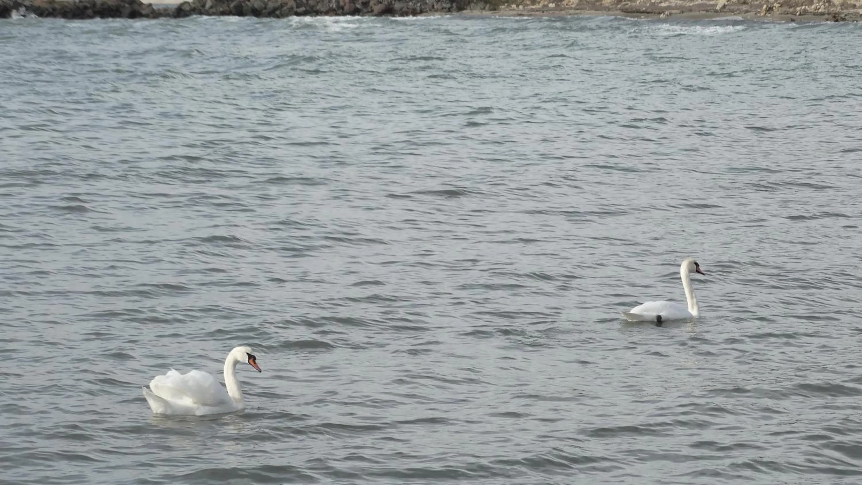 Akrotiria Beach Apart Complex