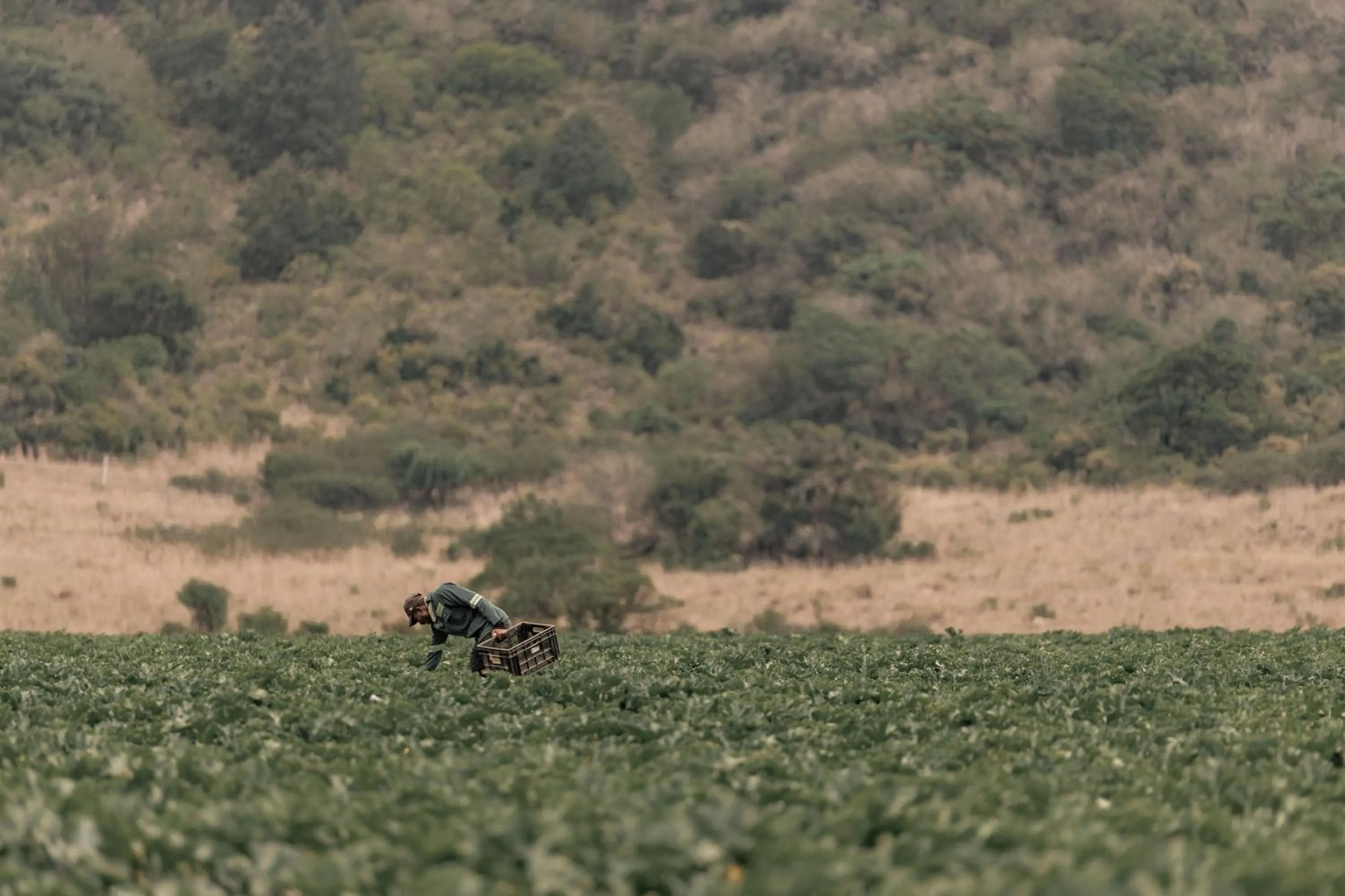 Natural landscape in Dawsons Game Lodge