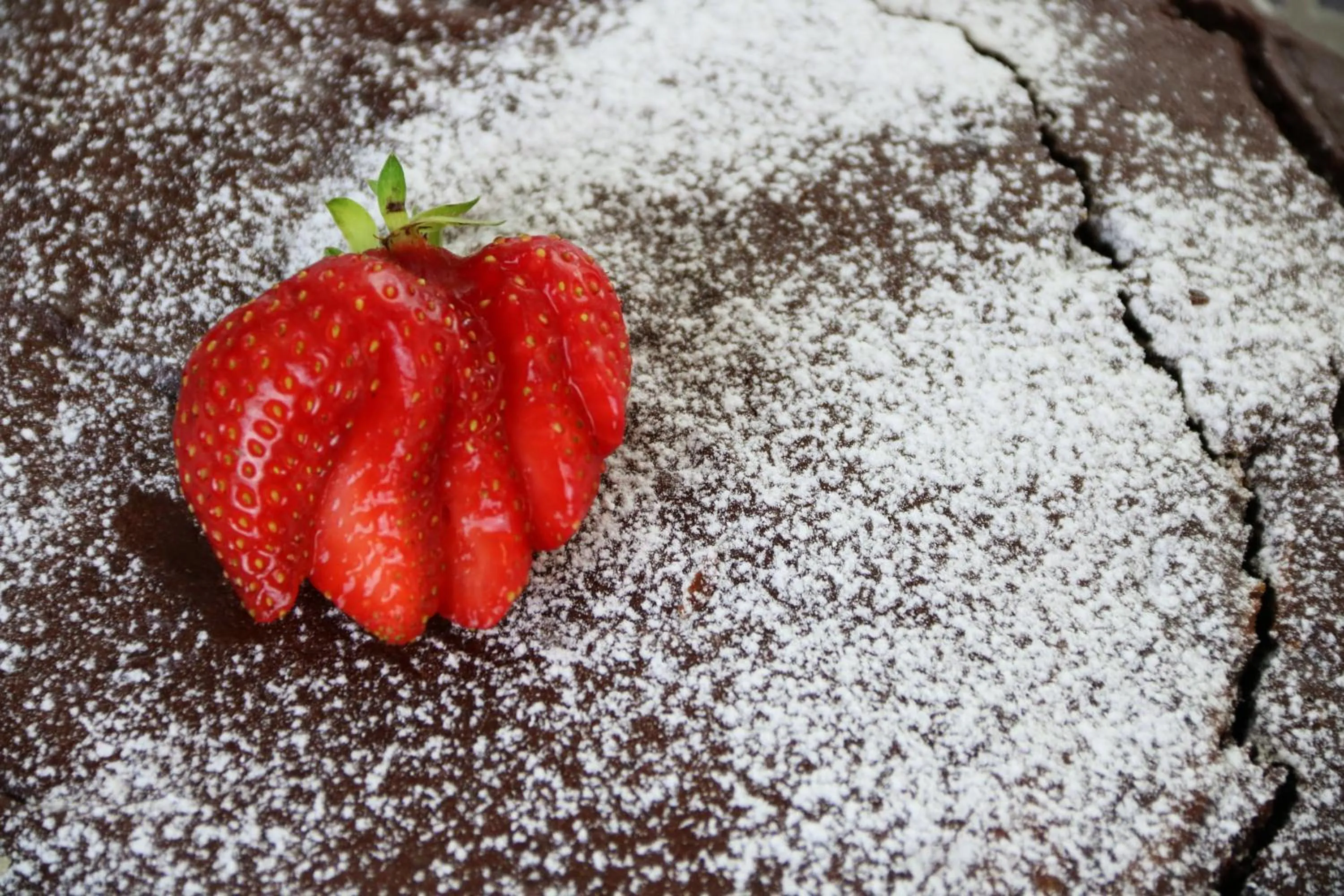 Restaurant/places to eat in Design Hotel Astra B&B