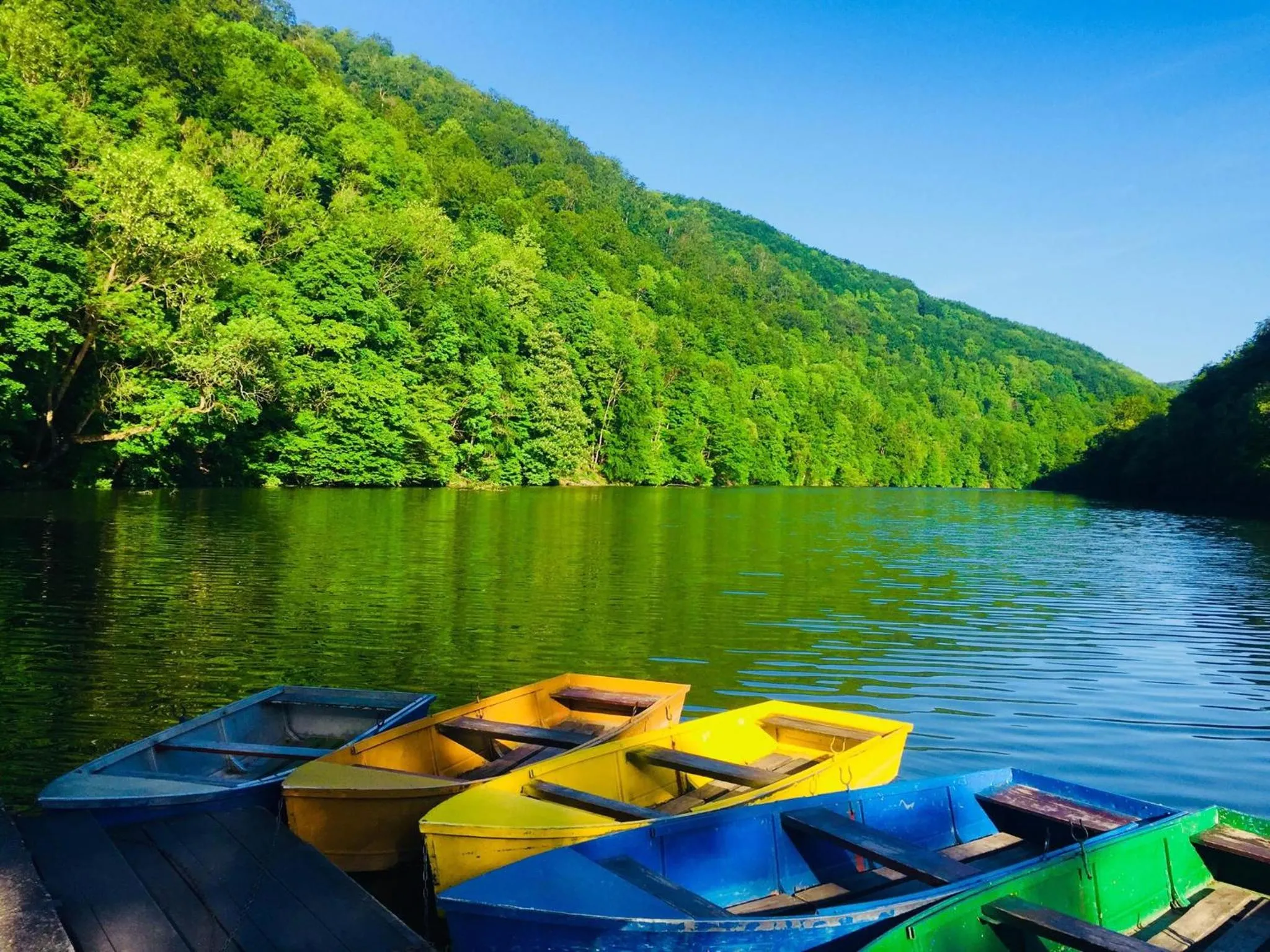 Natural landscape in Hotel Tókert Szálloda és Étterem