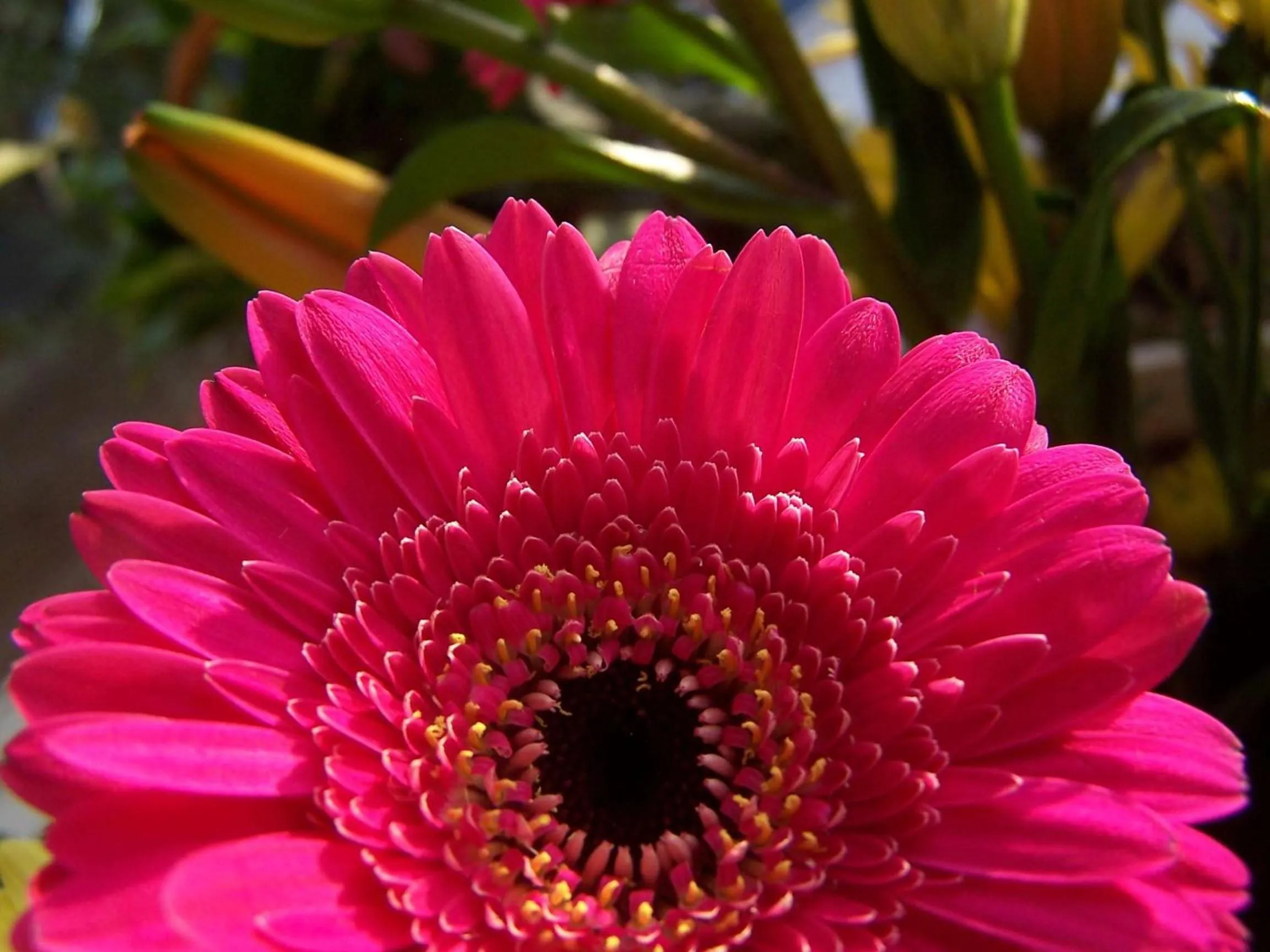 Other in DoubleTree by Hilton Chicago/Alsip