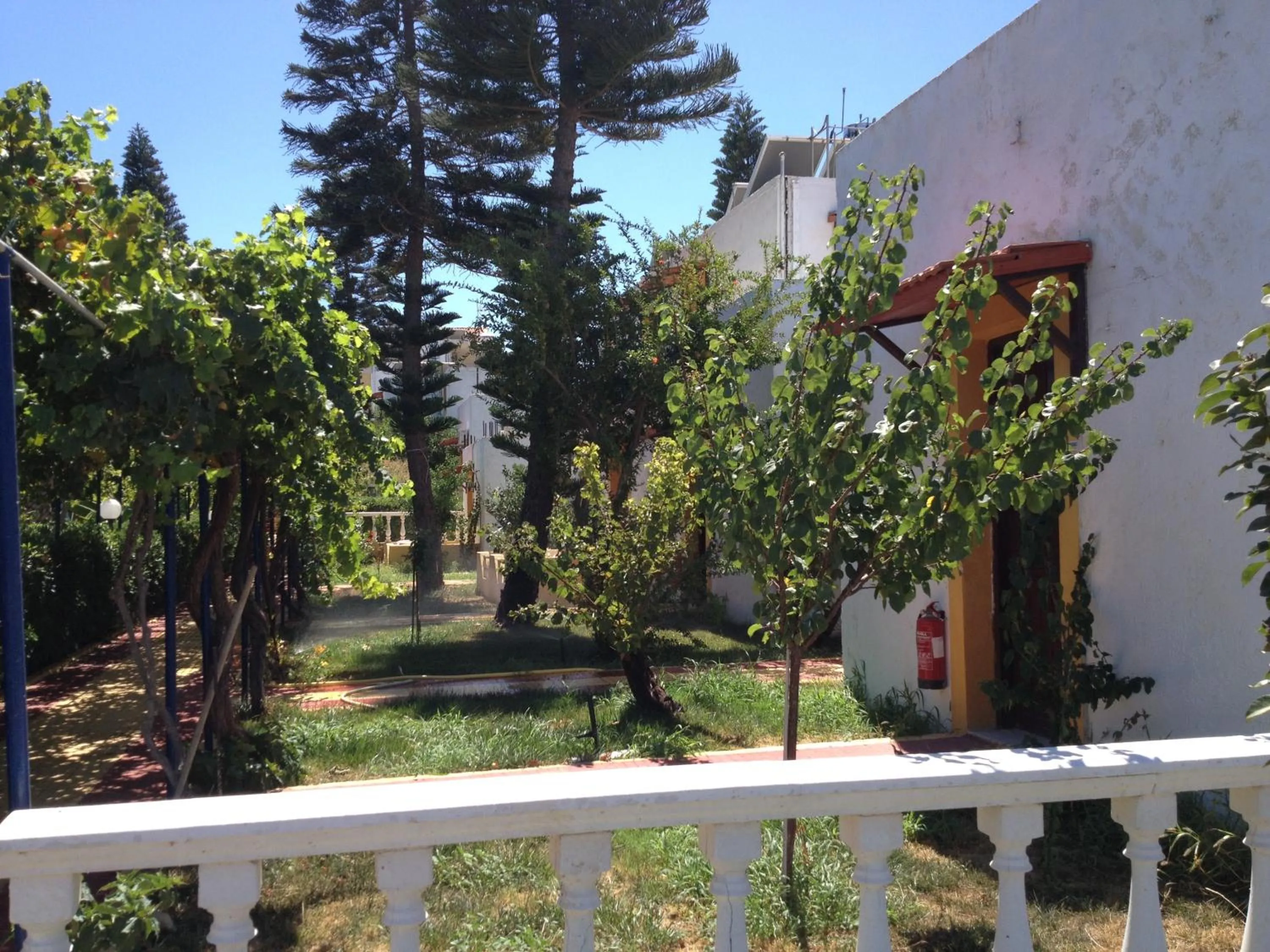 Garden in Villa Marina