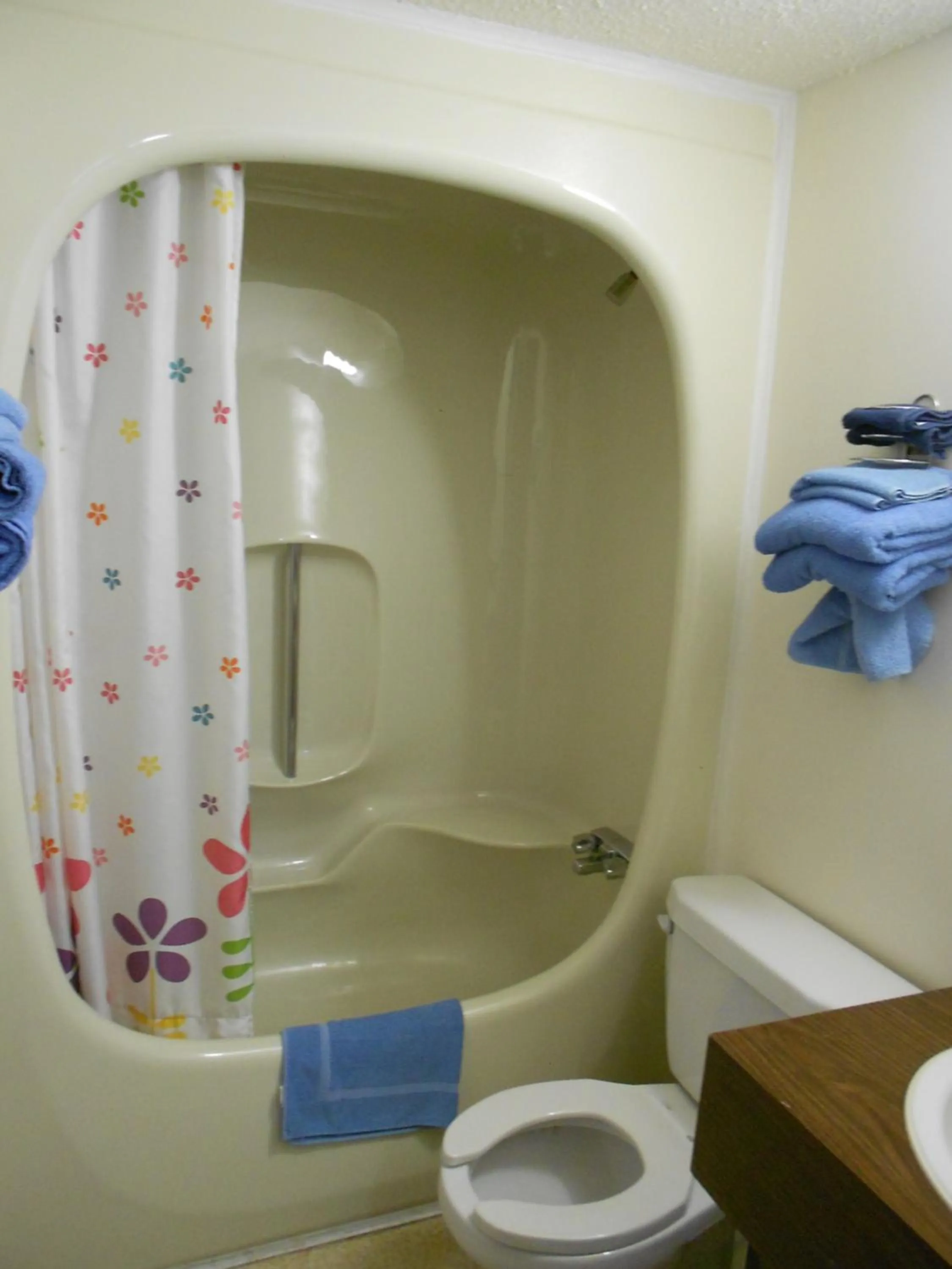 Shower in A1 Motel And Campground