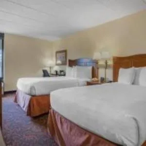Bed in SureStay Plus Hotel by Best Western Chicago Lombard