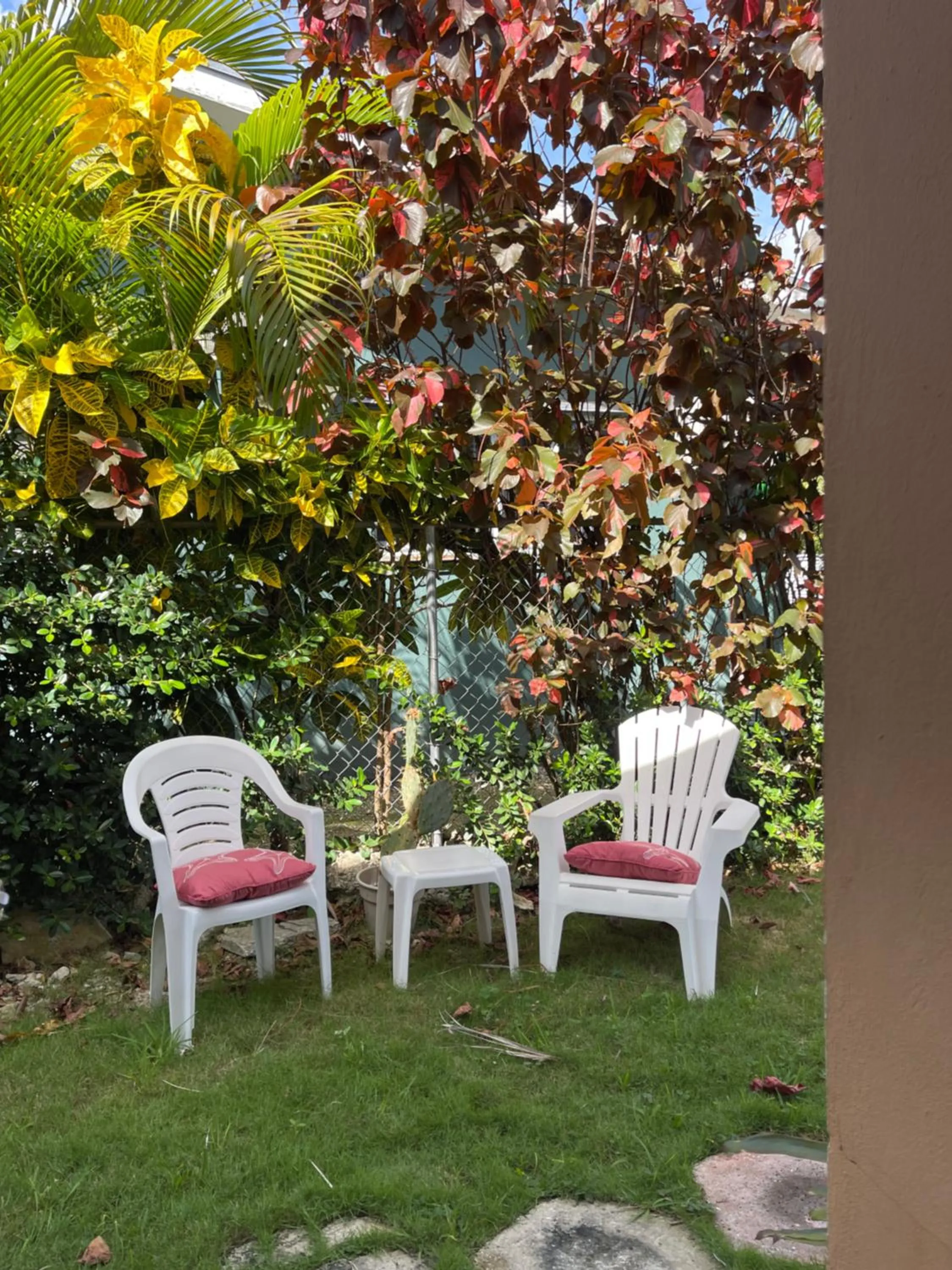 Garden view in Dawson’s Hideaway