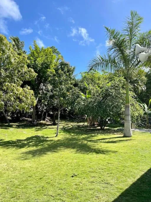 Garden in Dawson’s Hideaway