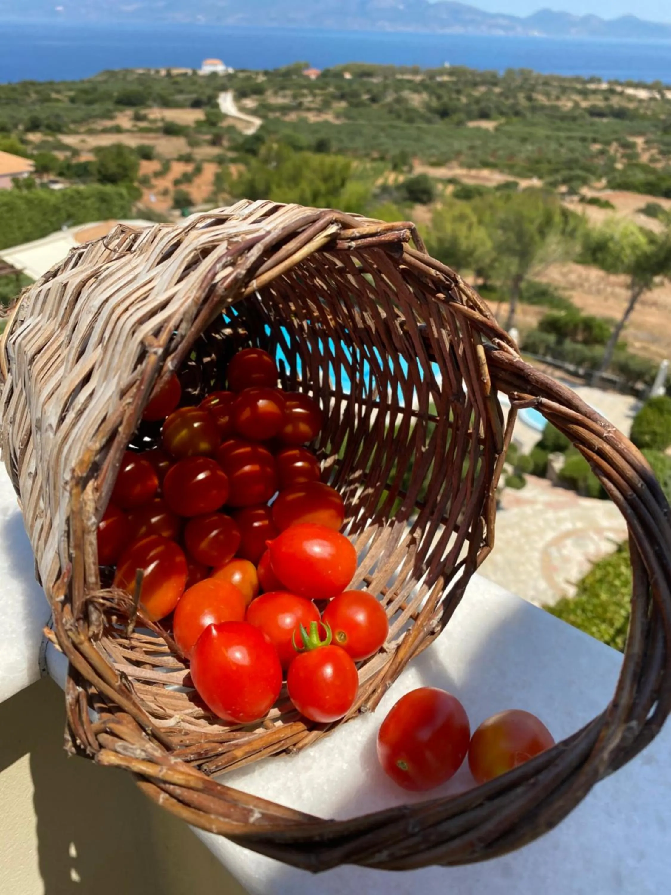 Activities in Lithies Sea View Boutique Hotel