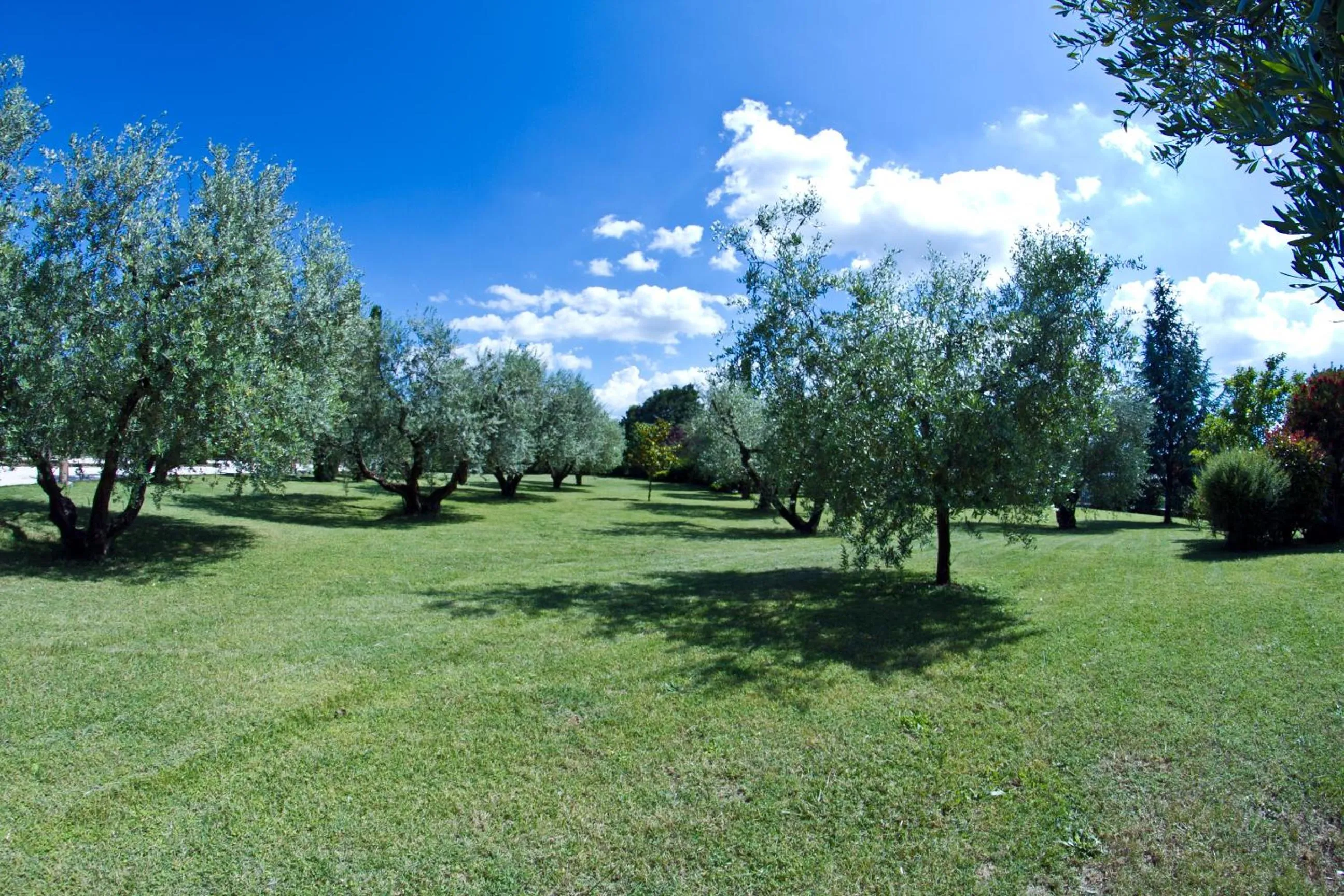 Garden in Aldero Hotel