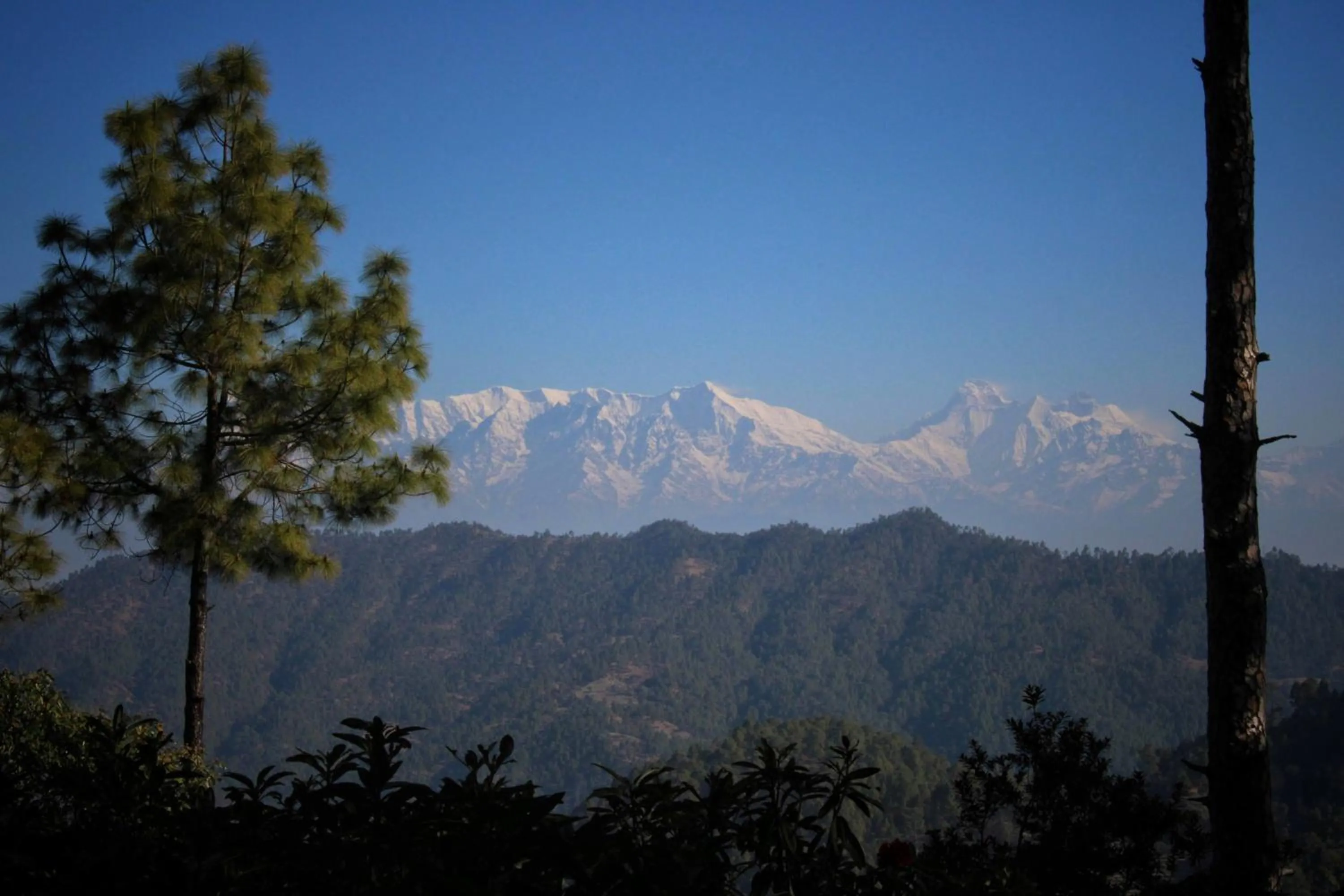 Khali Estate