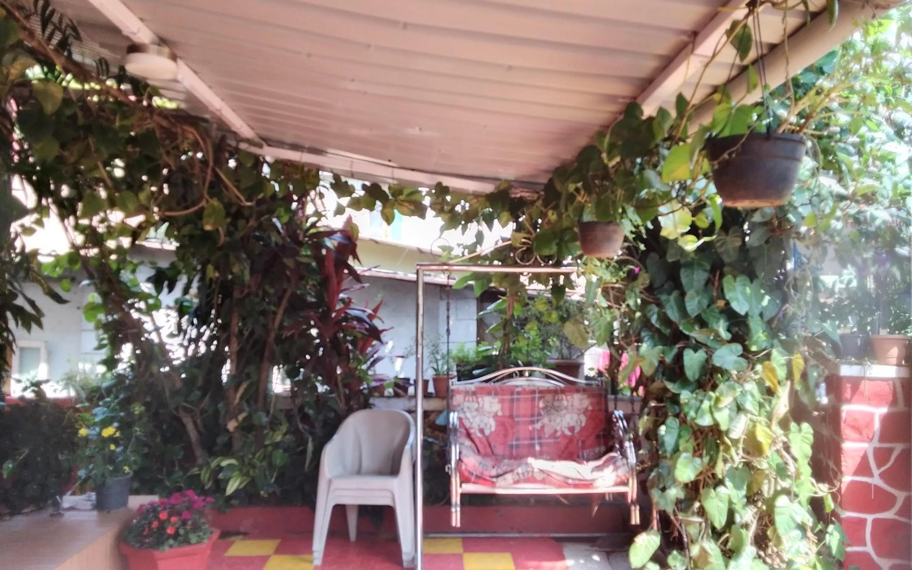 Garden in Om Datta Krupa Niwas Cottage