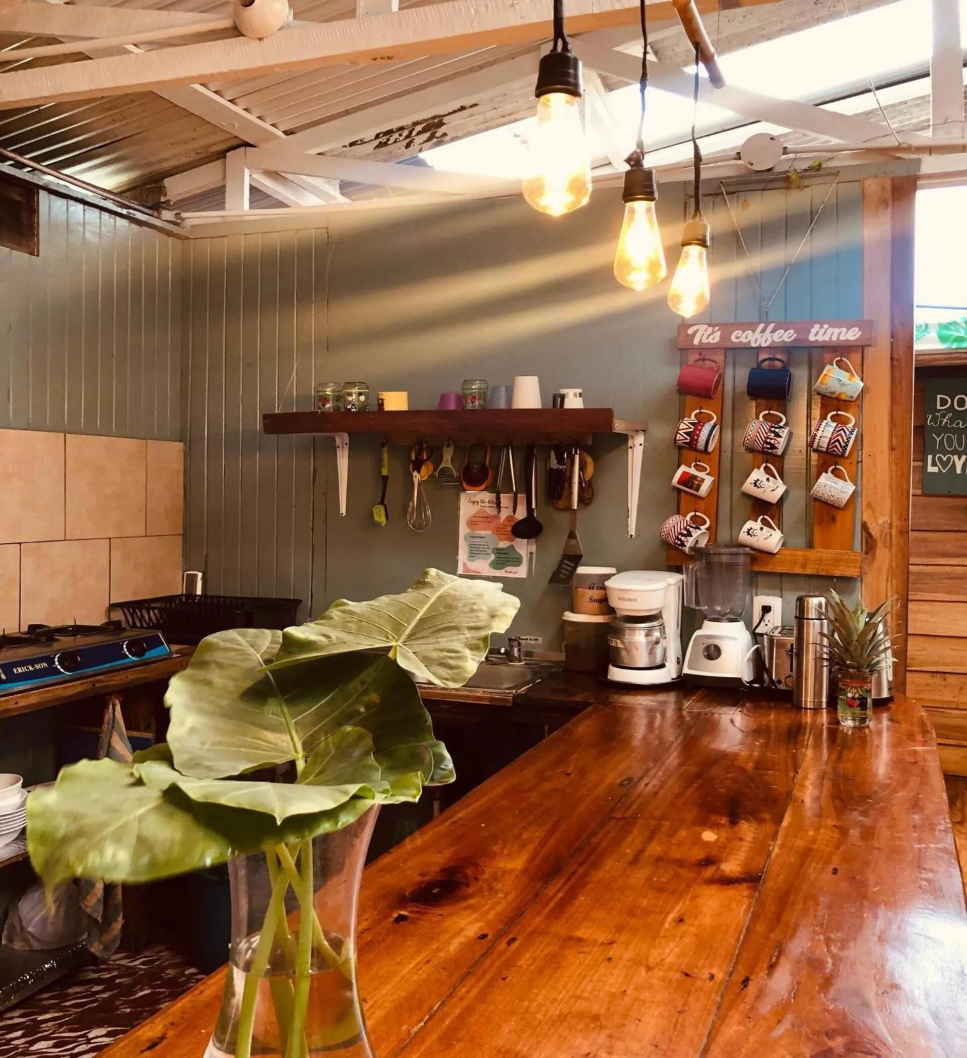 Communal kitchen in Roots Family
