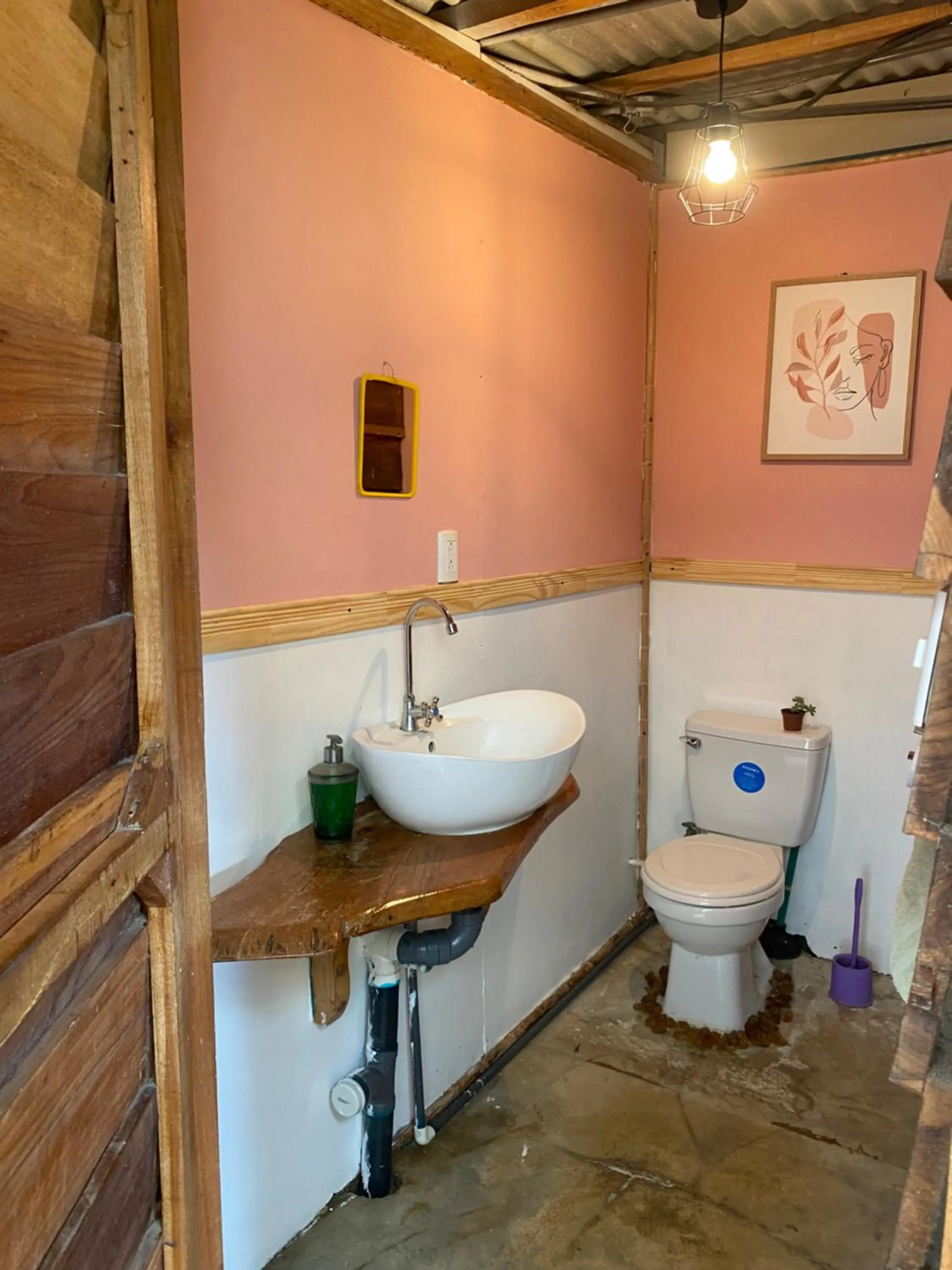 Toilet in Roots Family
